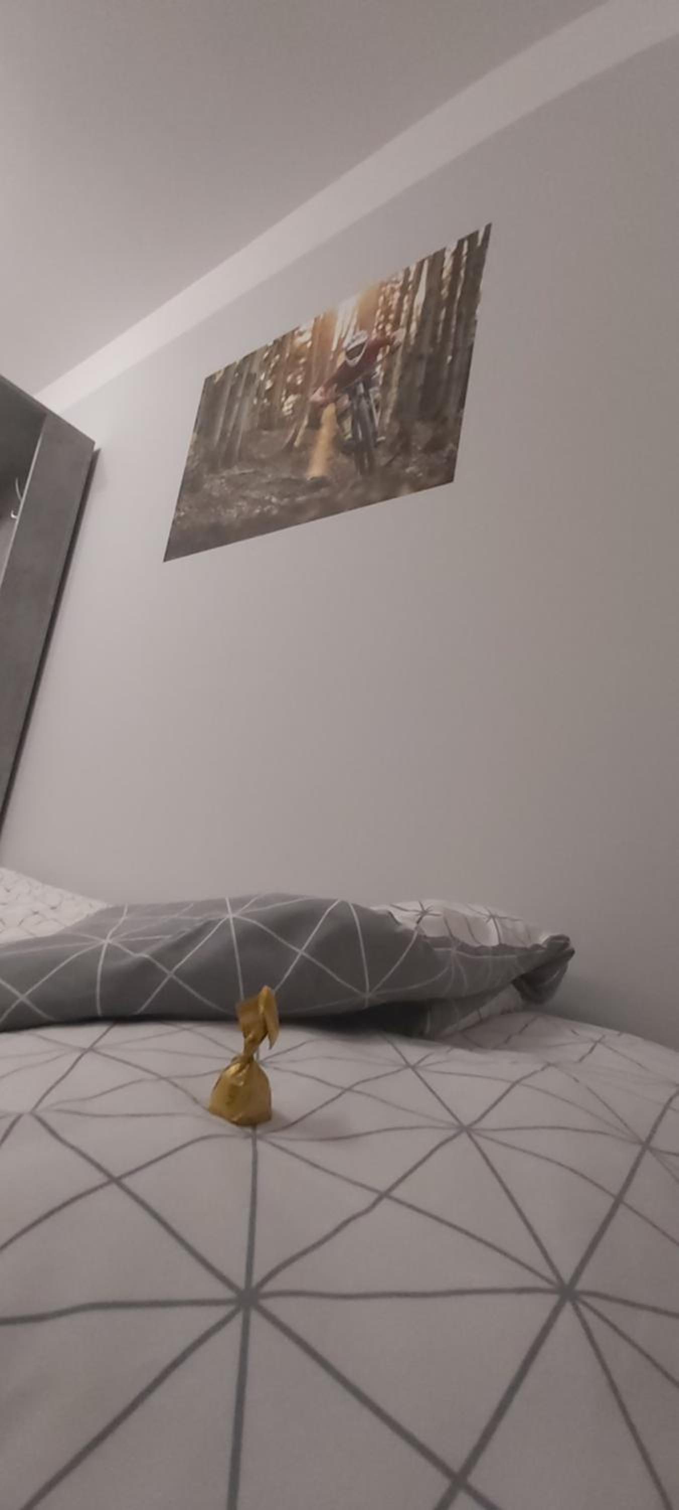 Dom w Cygańskim Lesie, photo 29