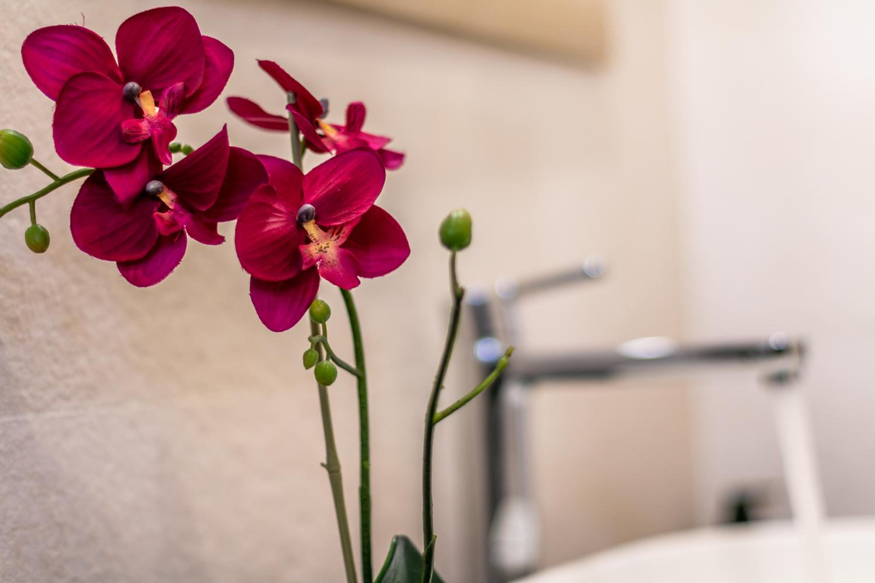 4 Star Suite SPA - Self Check-In