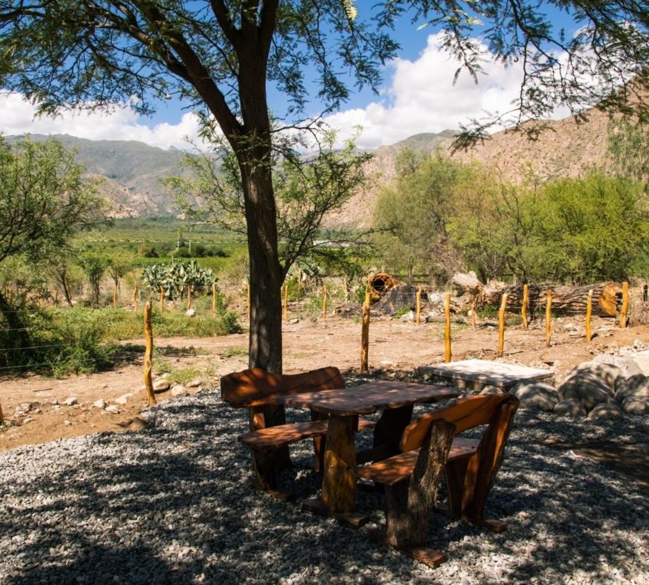 Casa Merlot - Viñedos de Cafayate Alquiler Temporario