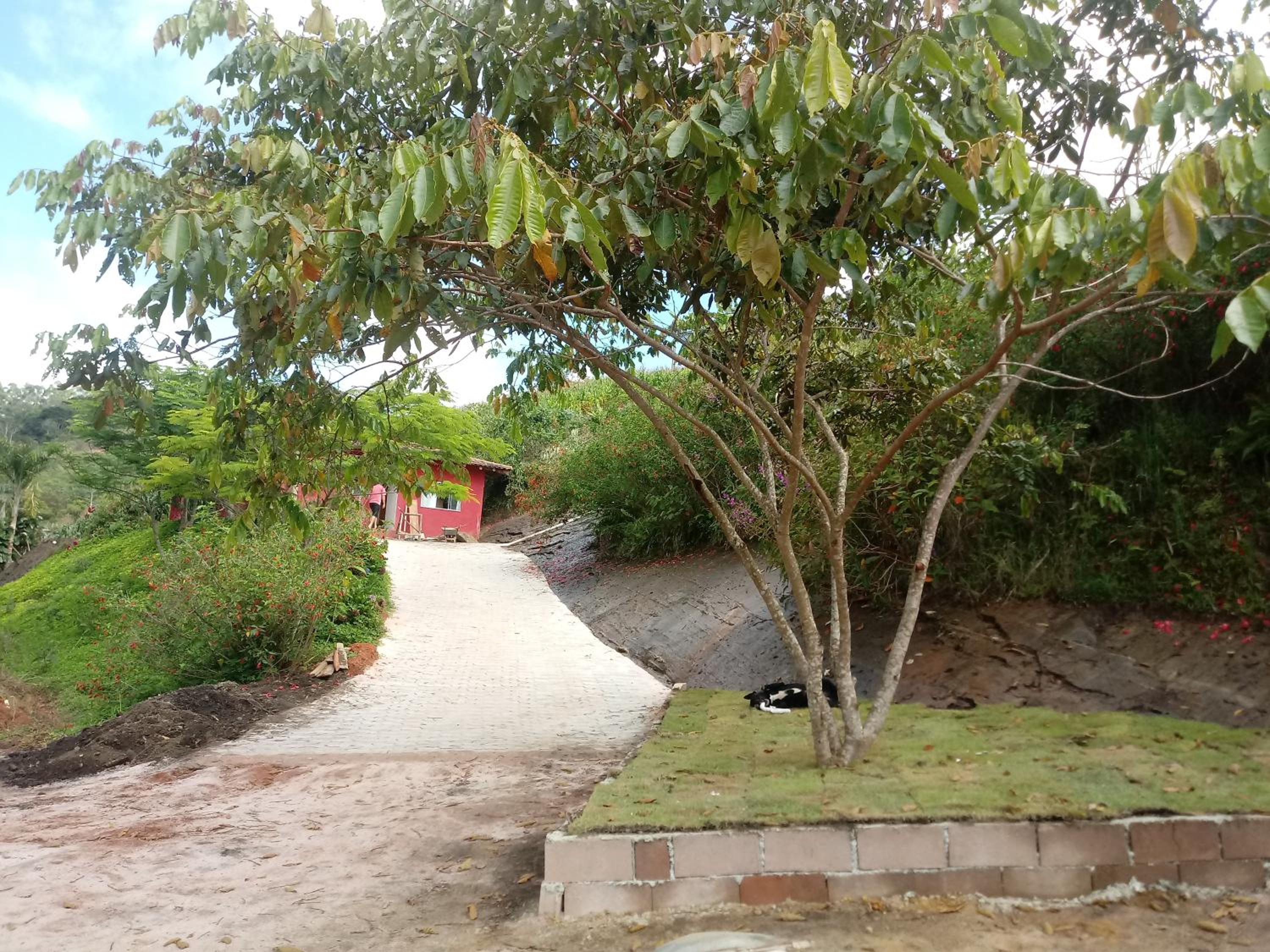 Photo 28
