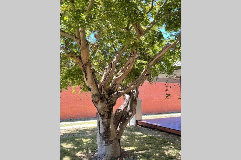 Hazeldene - The Best Location In Town!