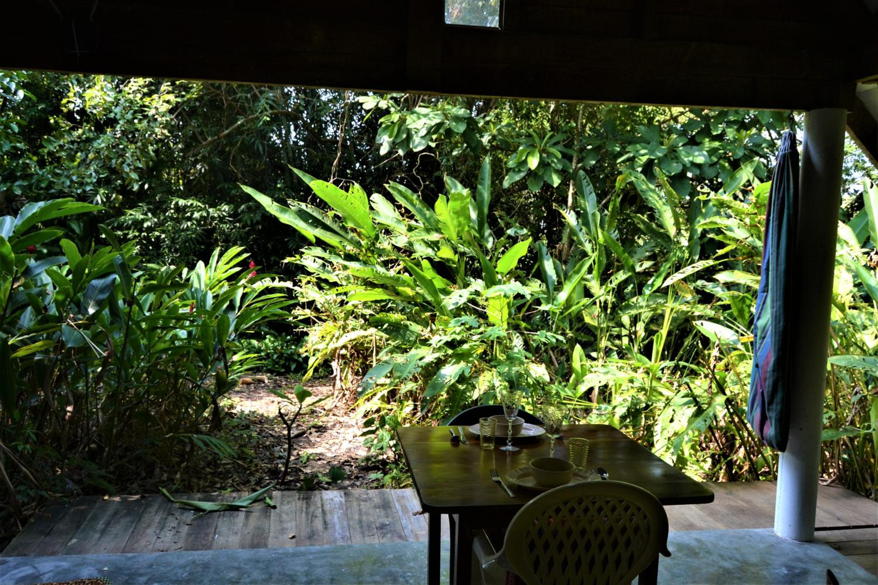 Jungle Like Oasis in San Ignacio - Secluded Cabaa Retreat Close To Mayan Ruins