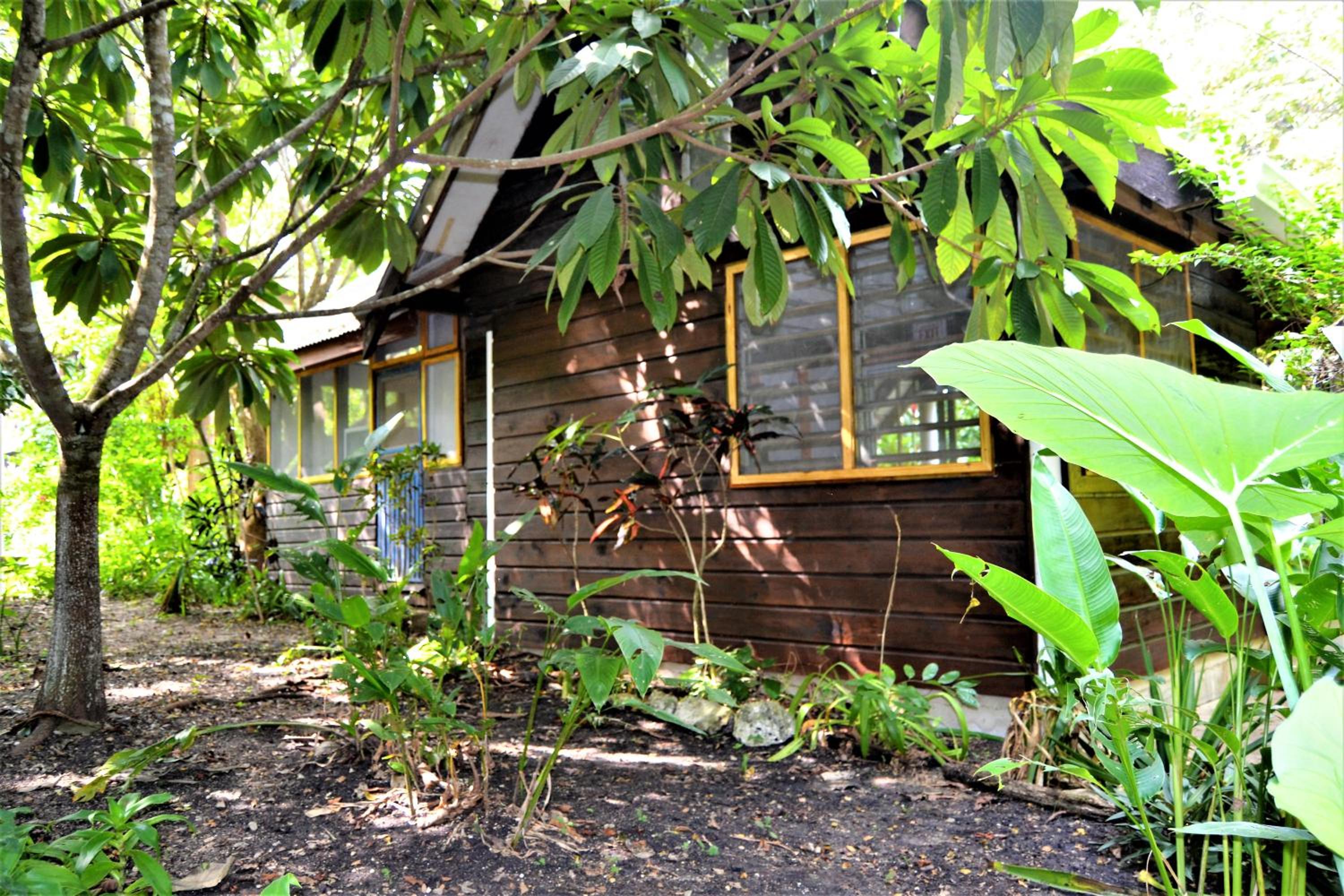 Jungle Like Oasis in San Ignacio - Secluded Cabaa Retreat Close To Mayan Ruins
