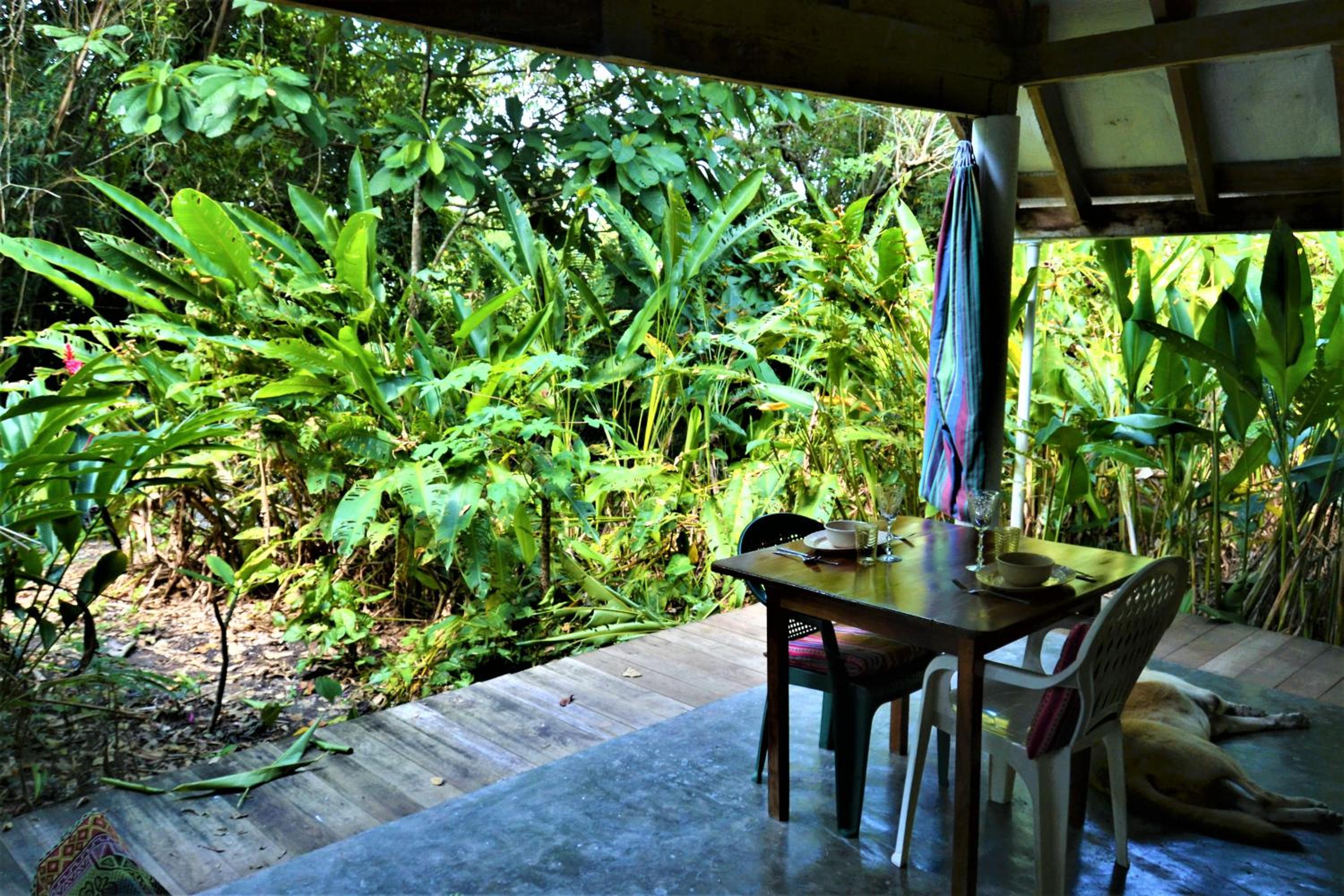 Jungle Like Oasis in San Ignacio - Secluded Cabaa Retreat Close To Mayan Ruins