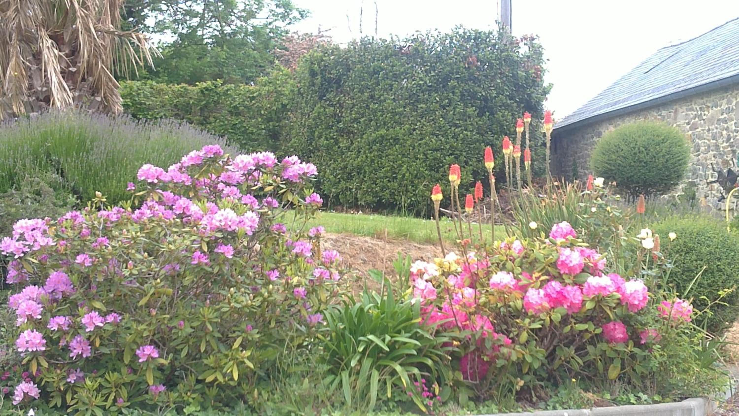 Photo 20