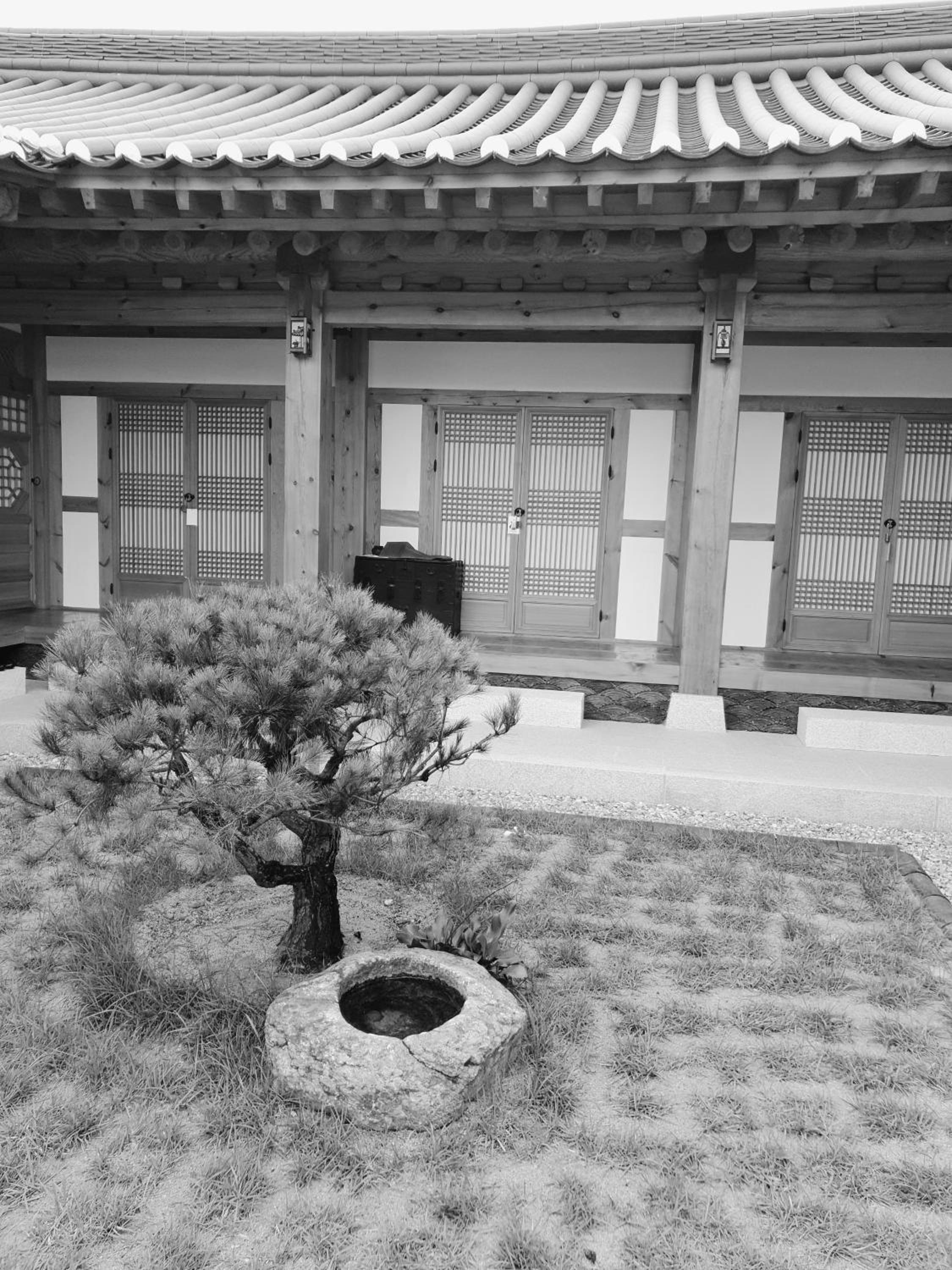 SiEunJae