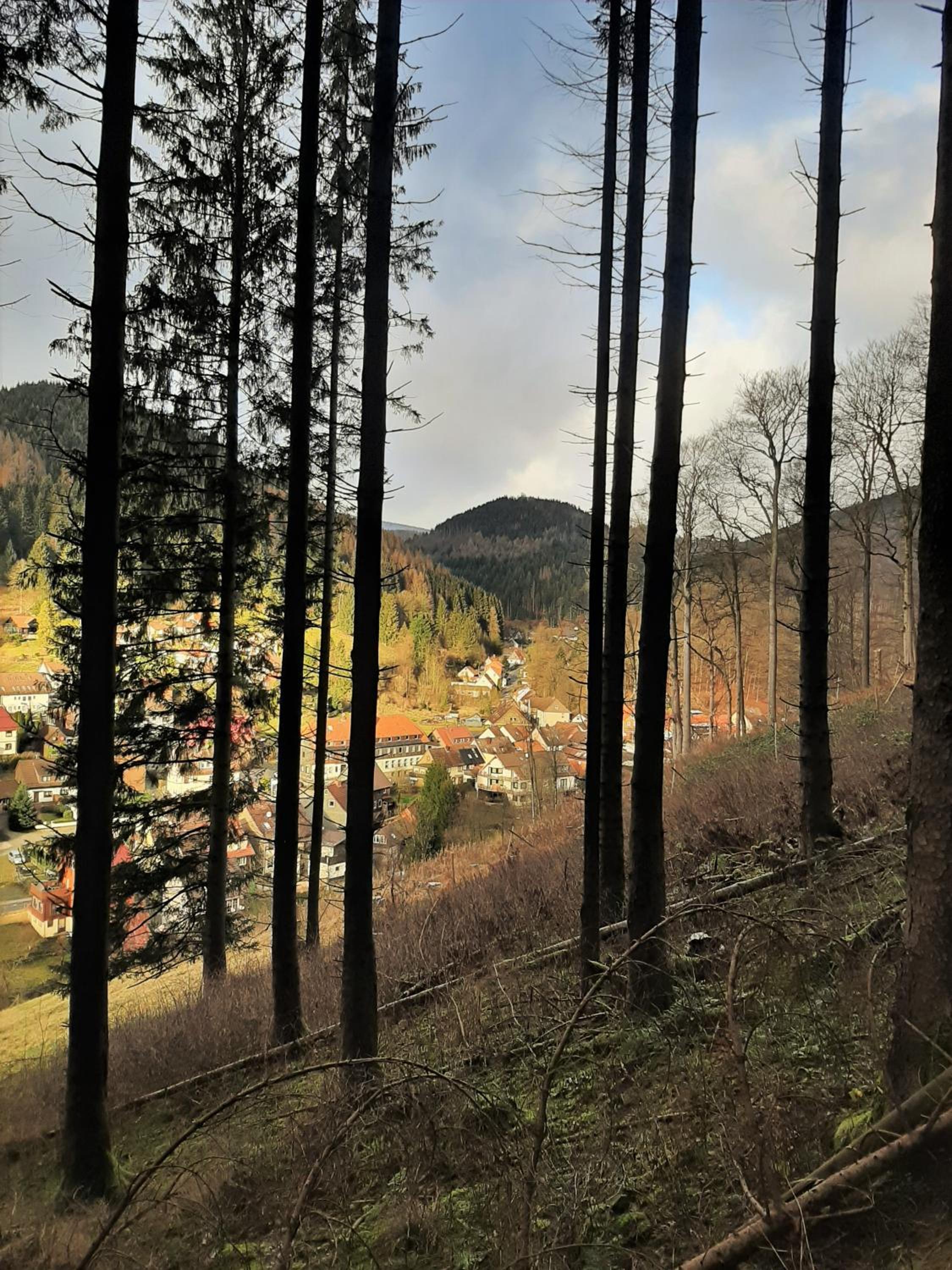 Photo 45