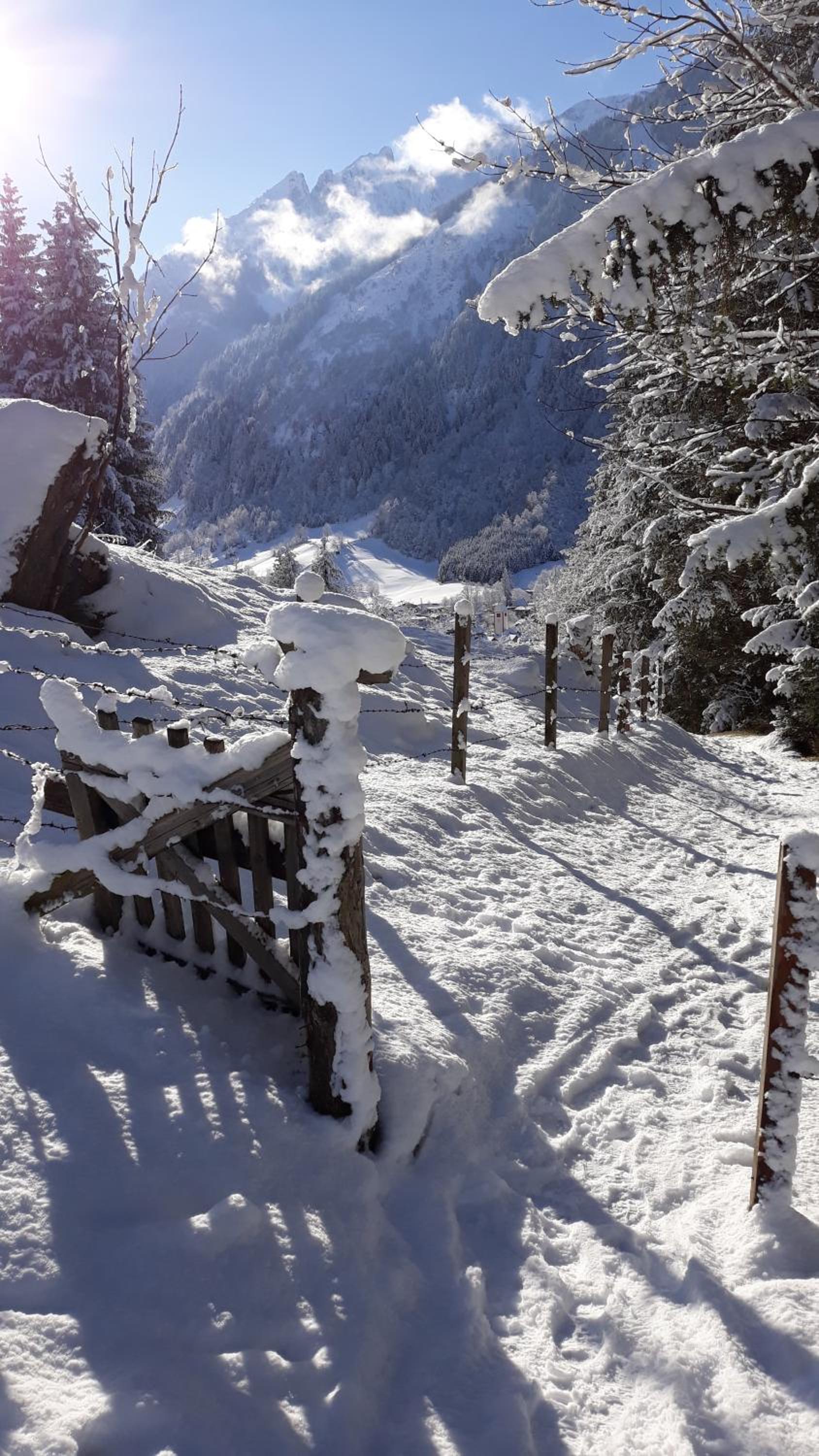 Oberreiter's Alpennest
