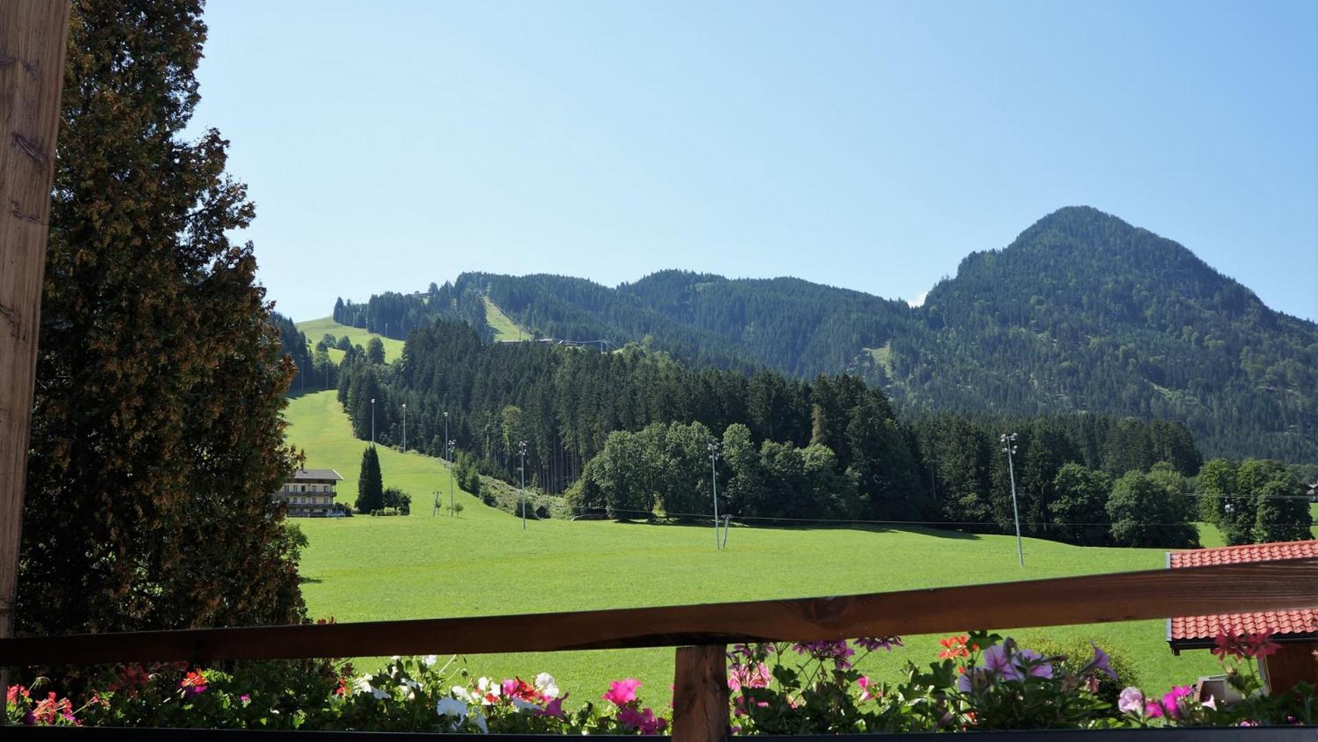 Pension Alpina