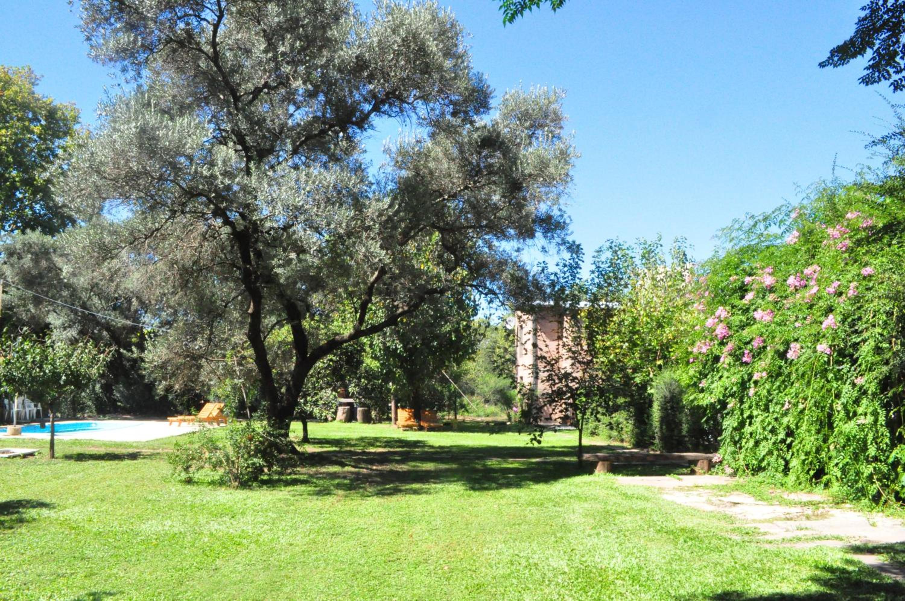 Los Olivos Loft