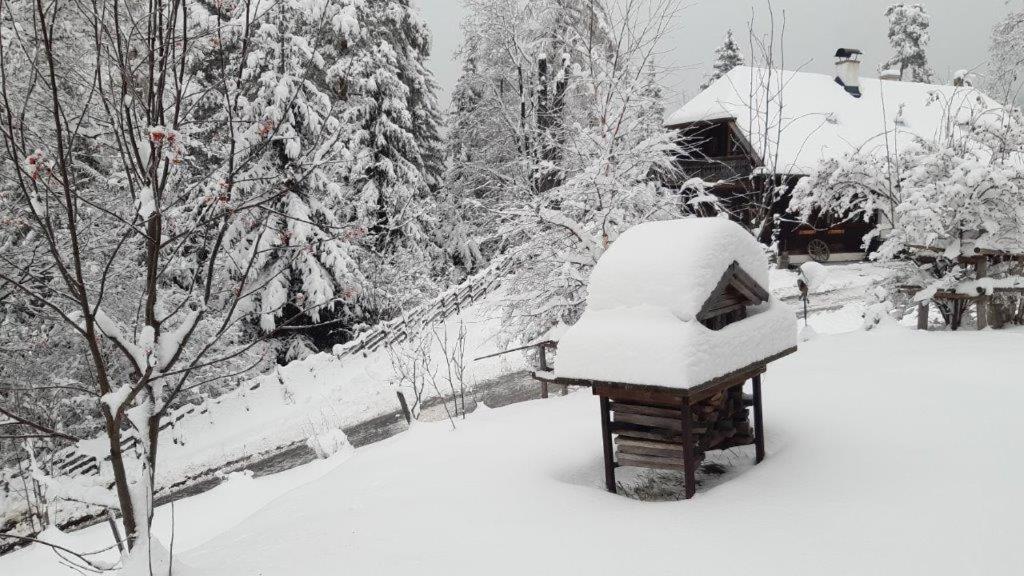Chalet Teufelsteinblick