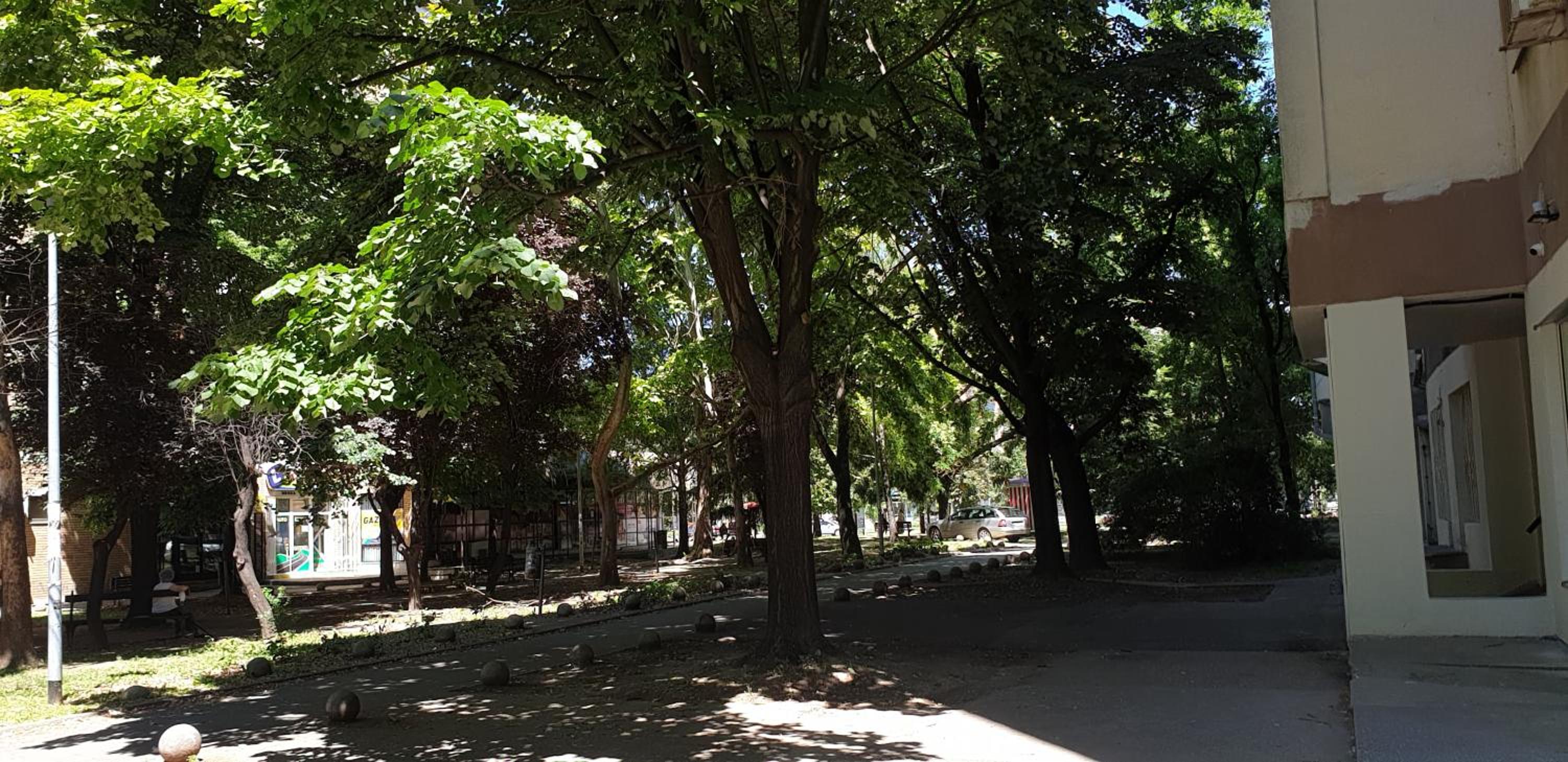 Photo 16