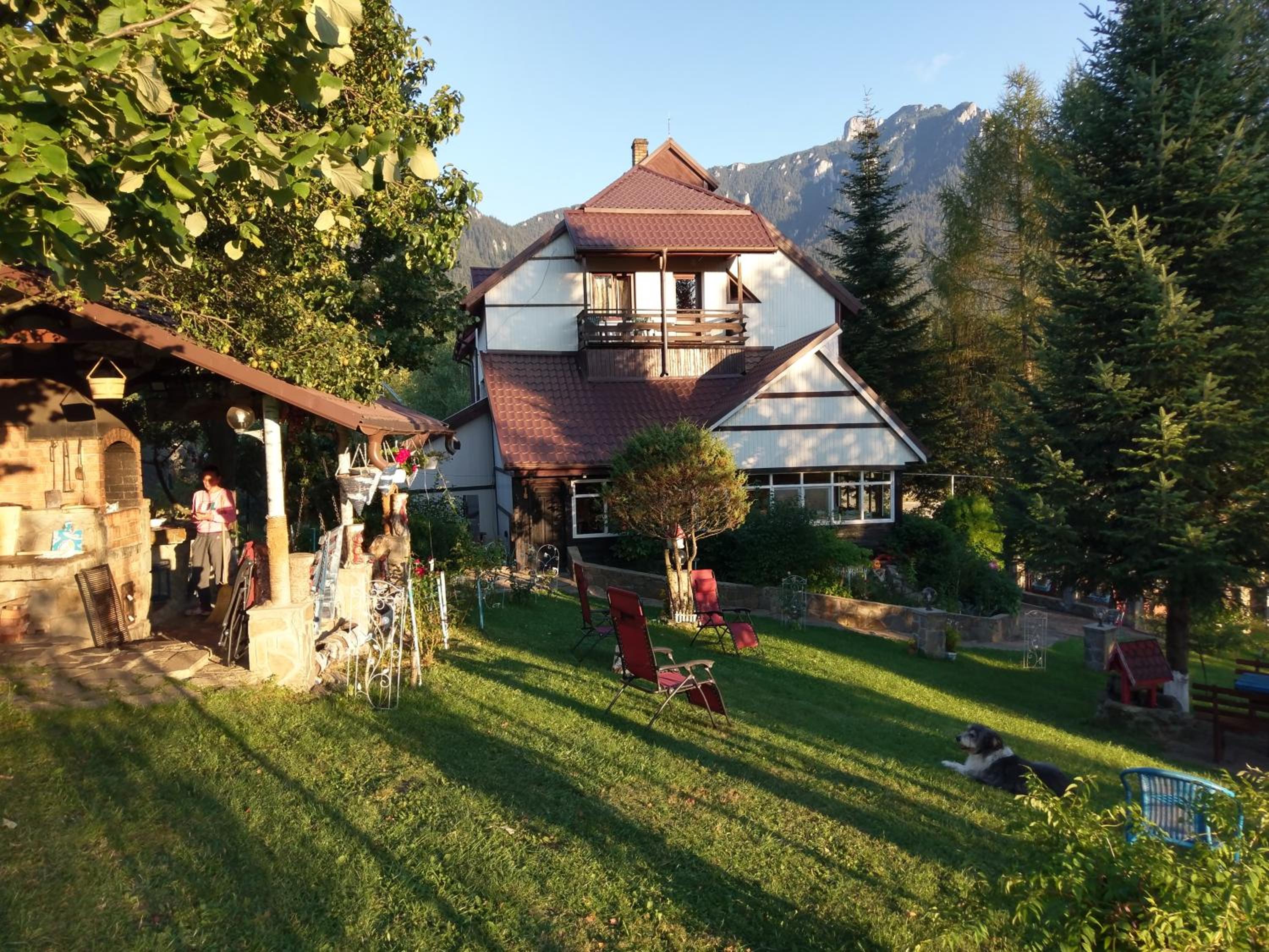 Photo 6