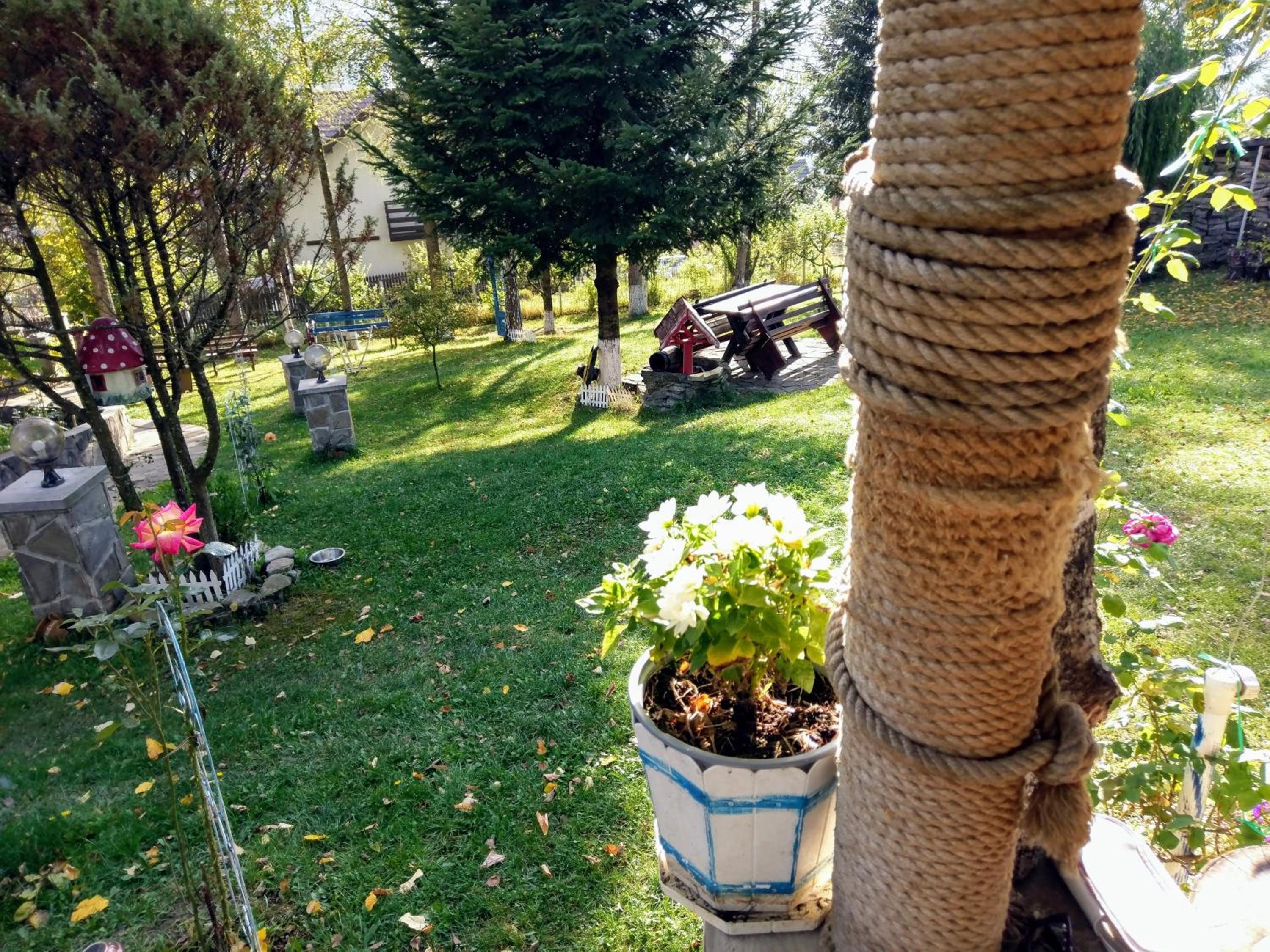 pensiunea Gabriela view 5