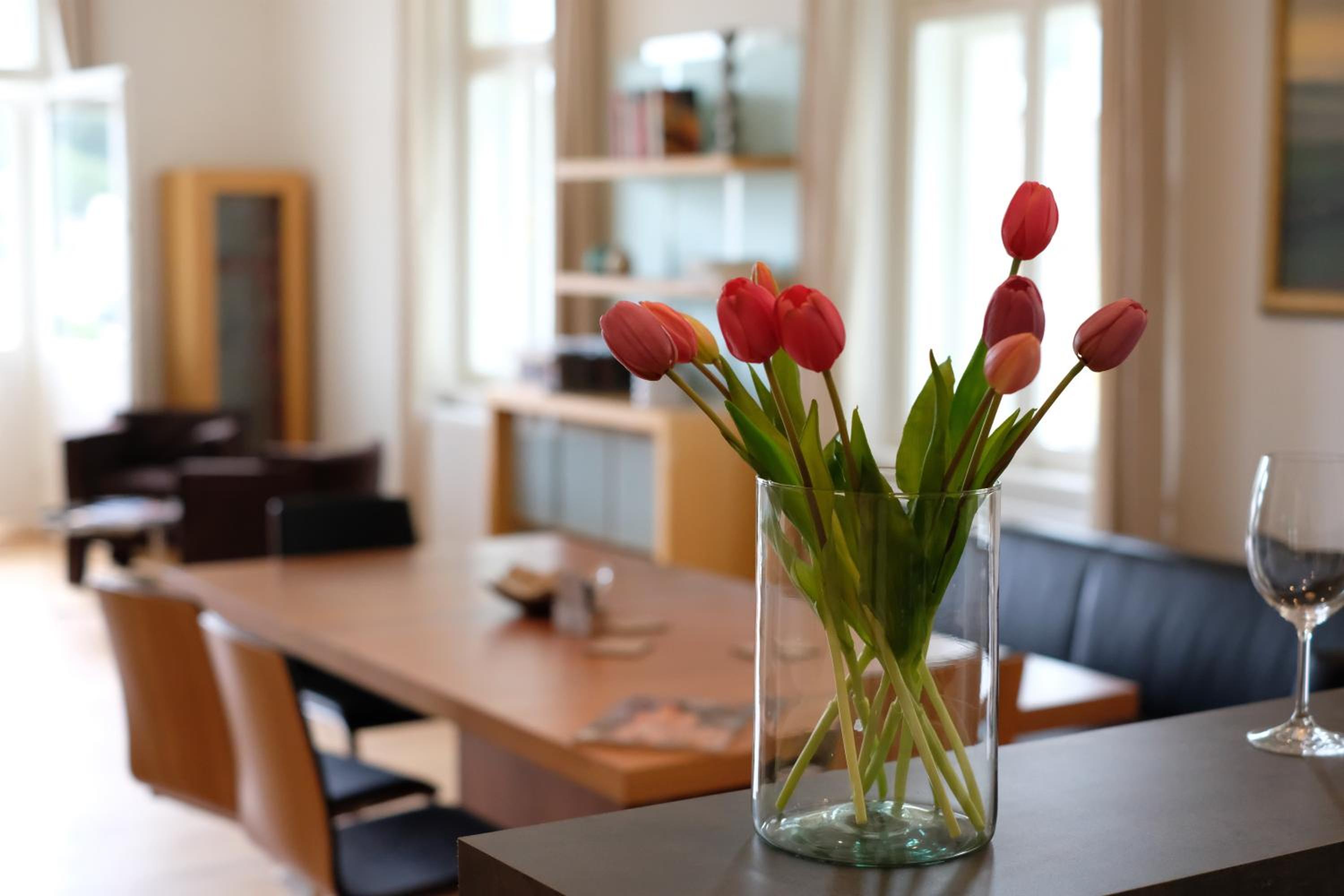 Kolonada Luxury 3 bedroom apartment Manes view 2