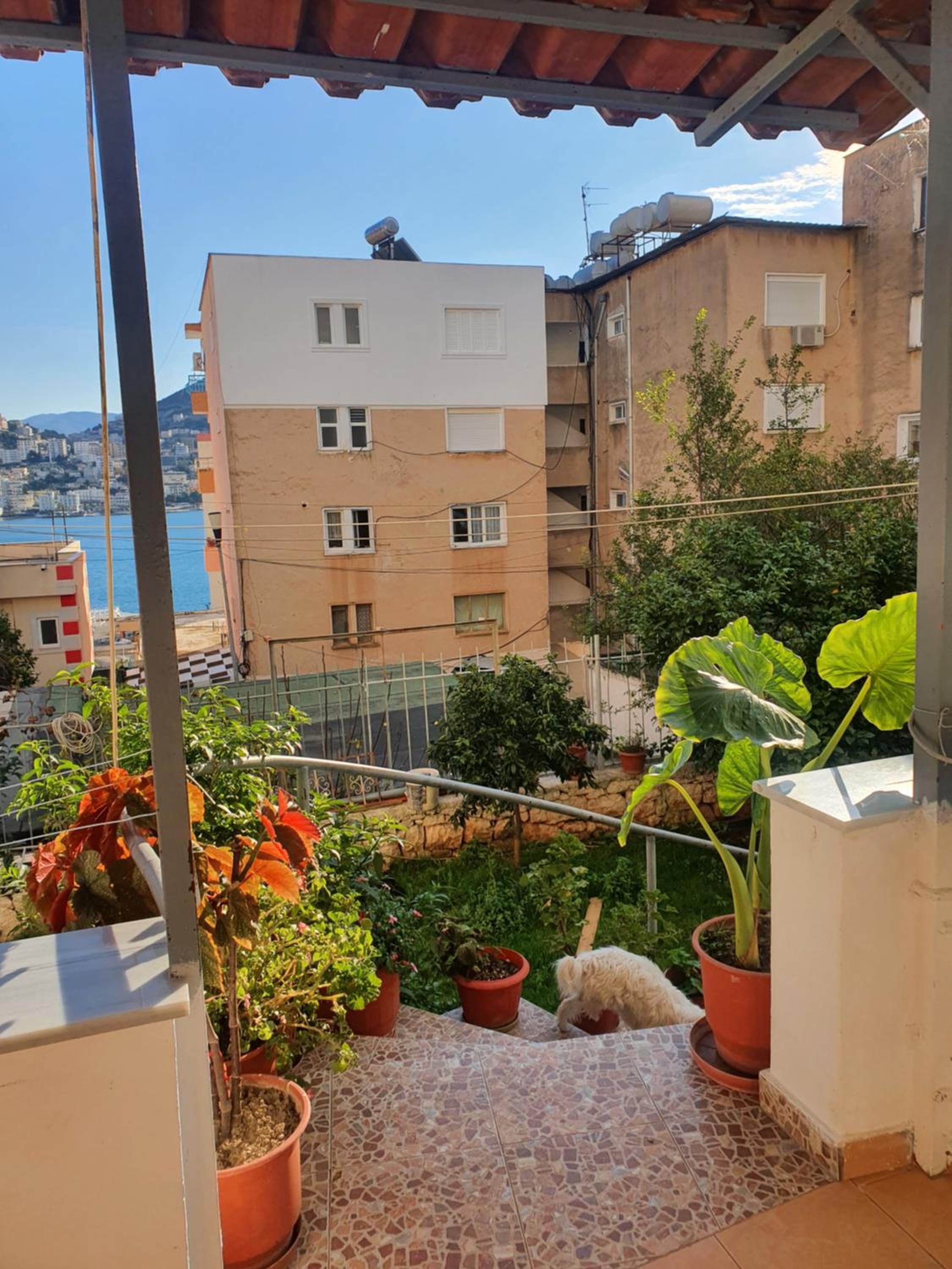 Loi apartment