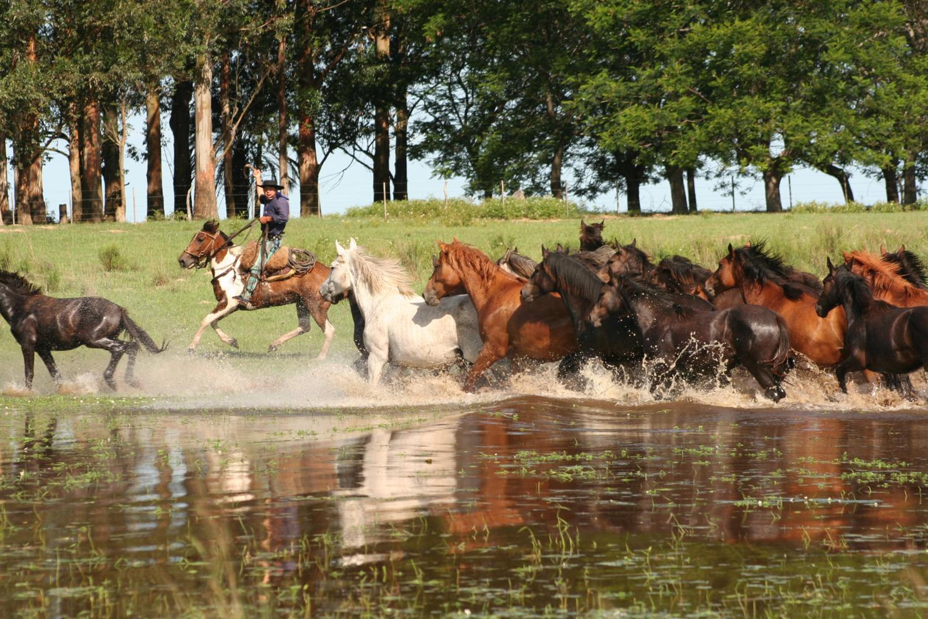 Estancia Buena Vista