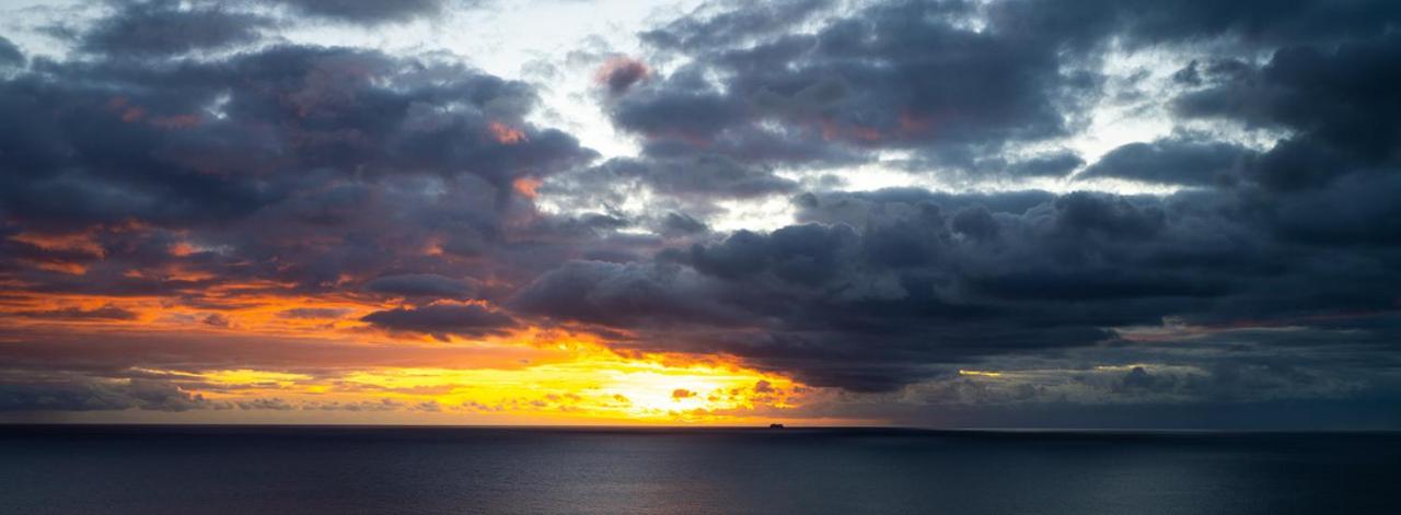 Shearwaters - Sounds of the sea view 4
