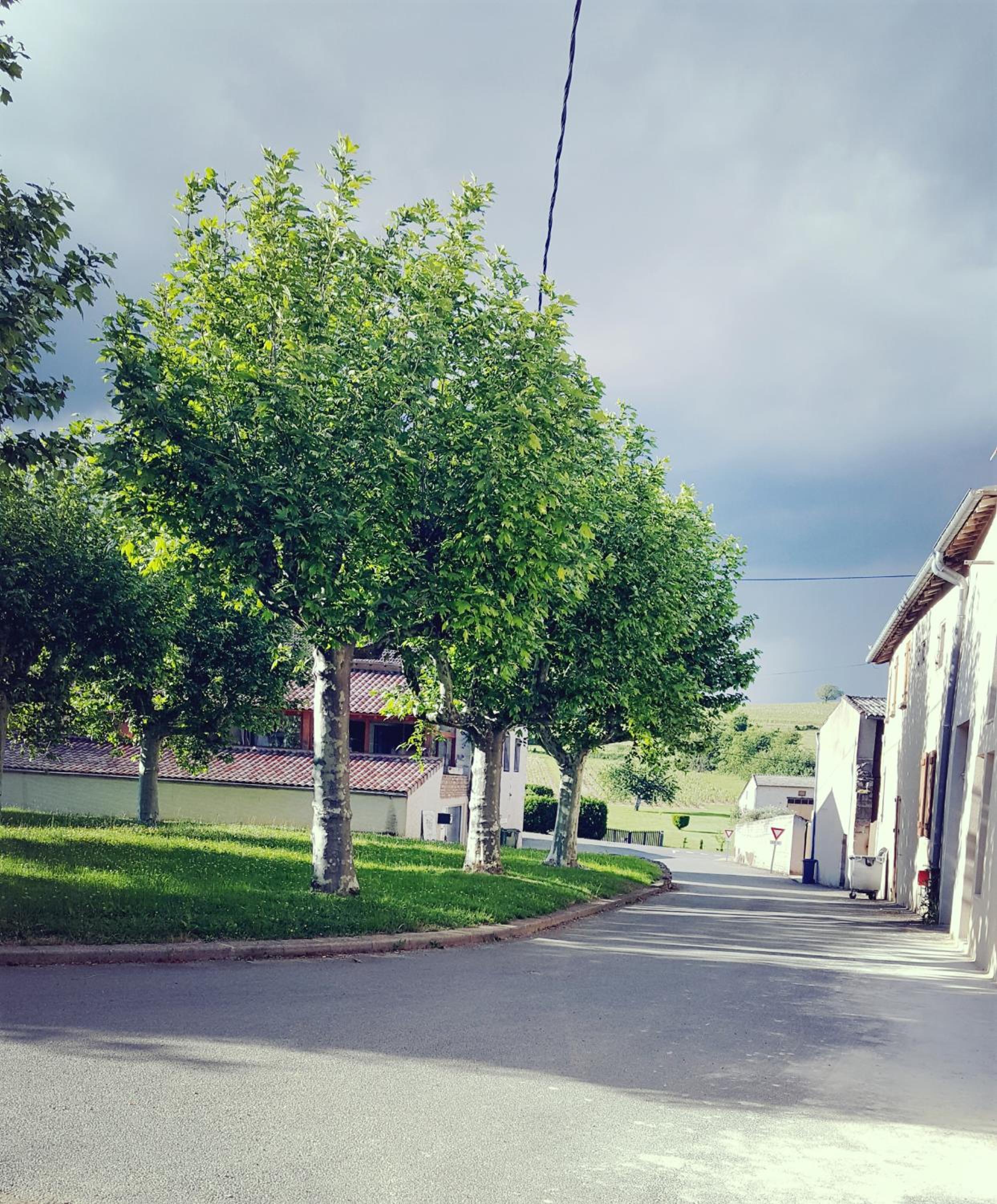 La Cadole de Chardonnay view 3
