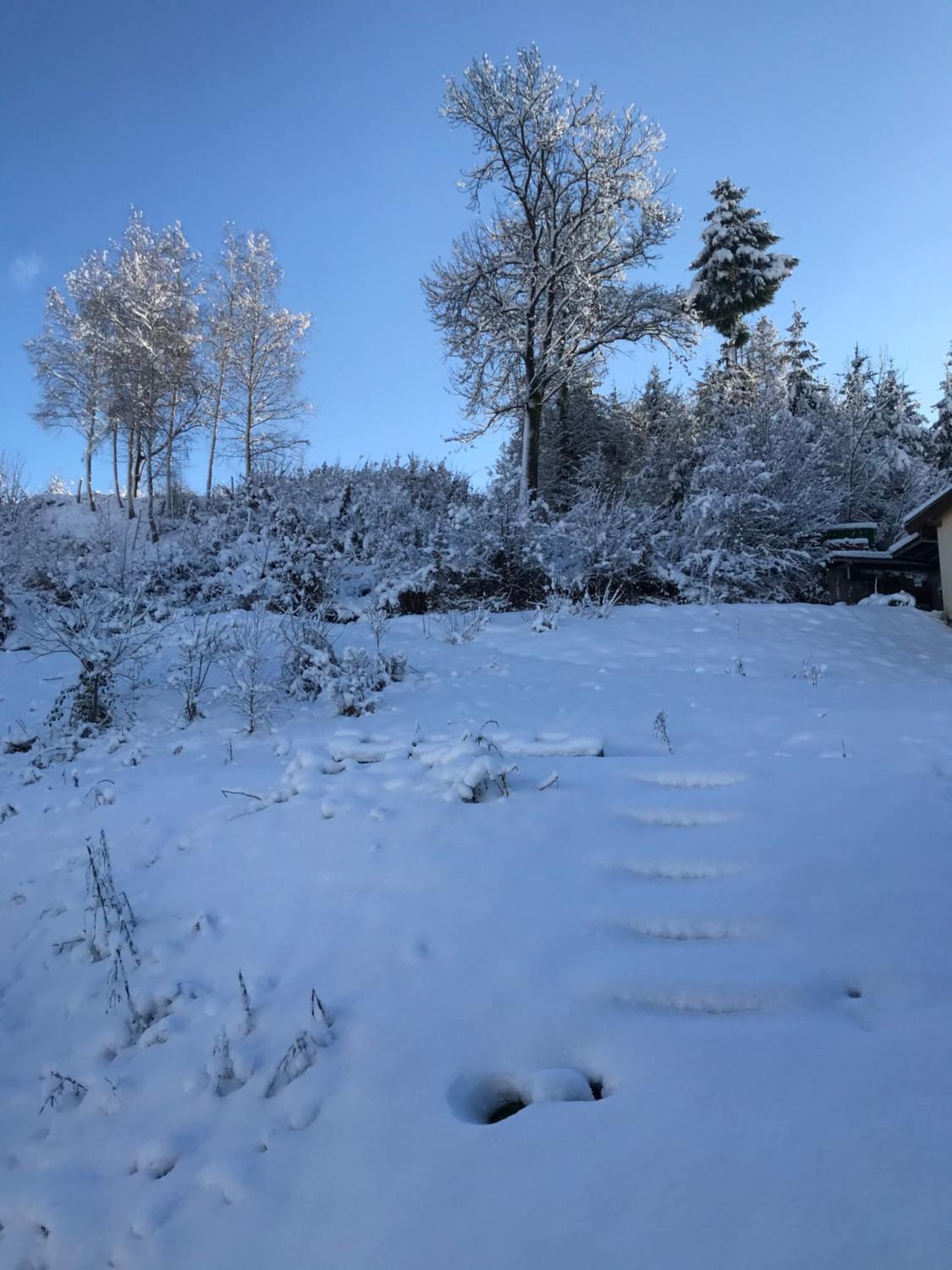 S-SUITE das Design-Ferienhaus im Schwarzwald