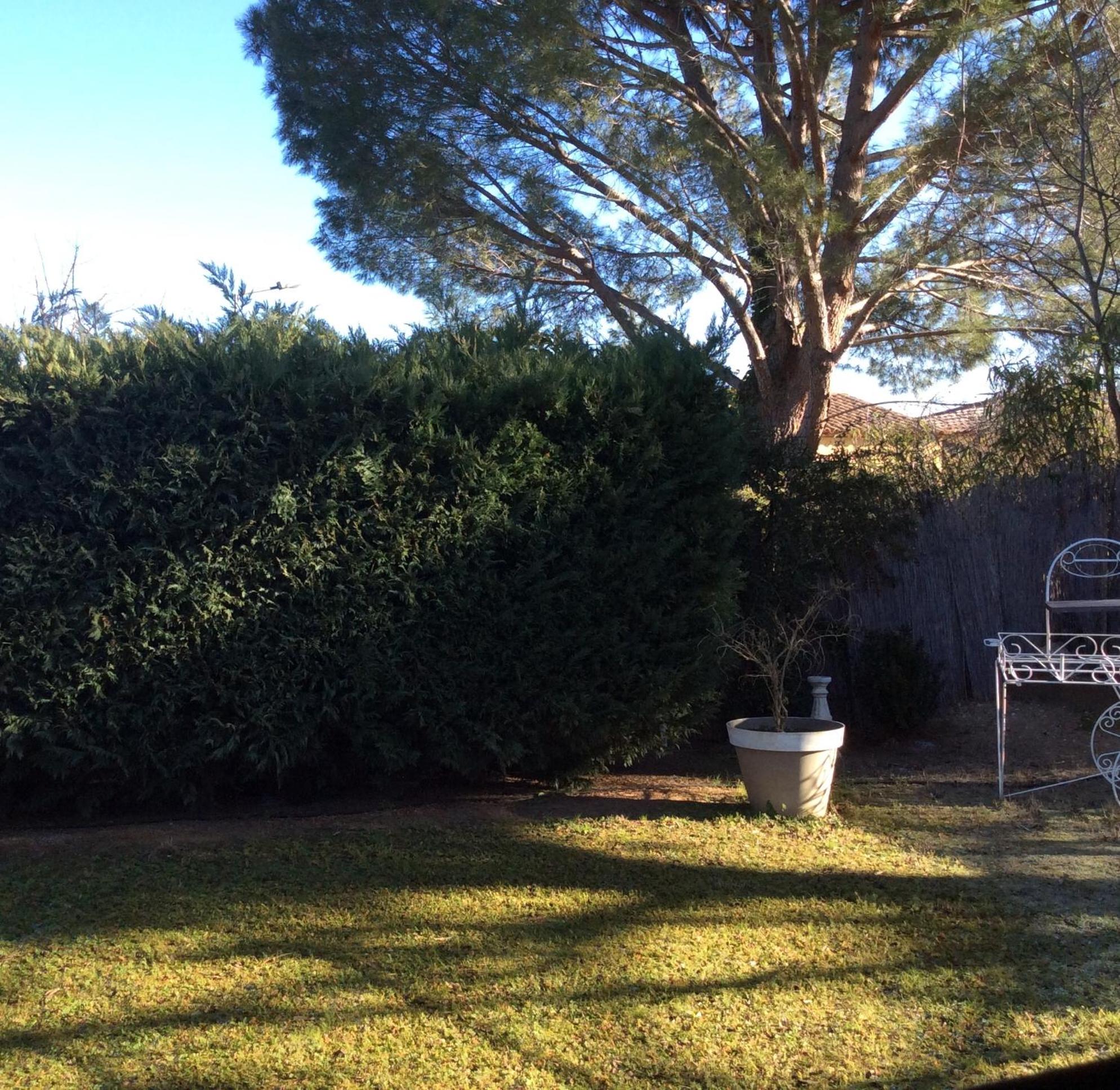 Chalet de Charme view 2