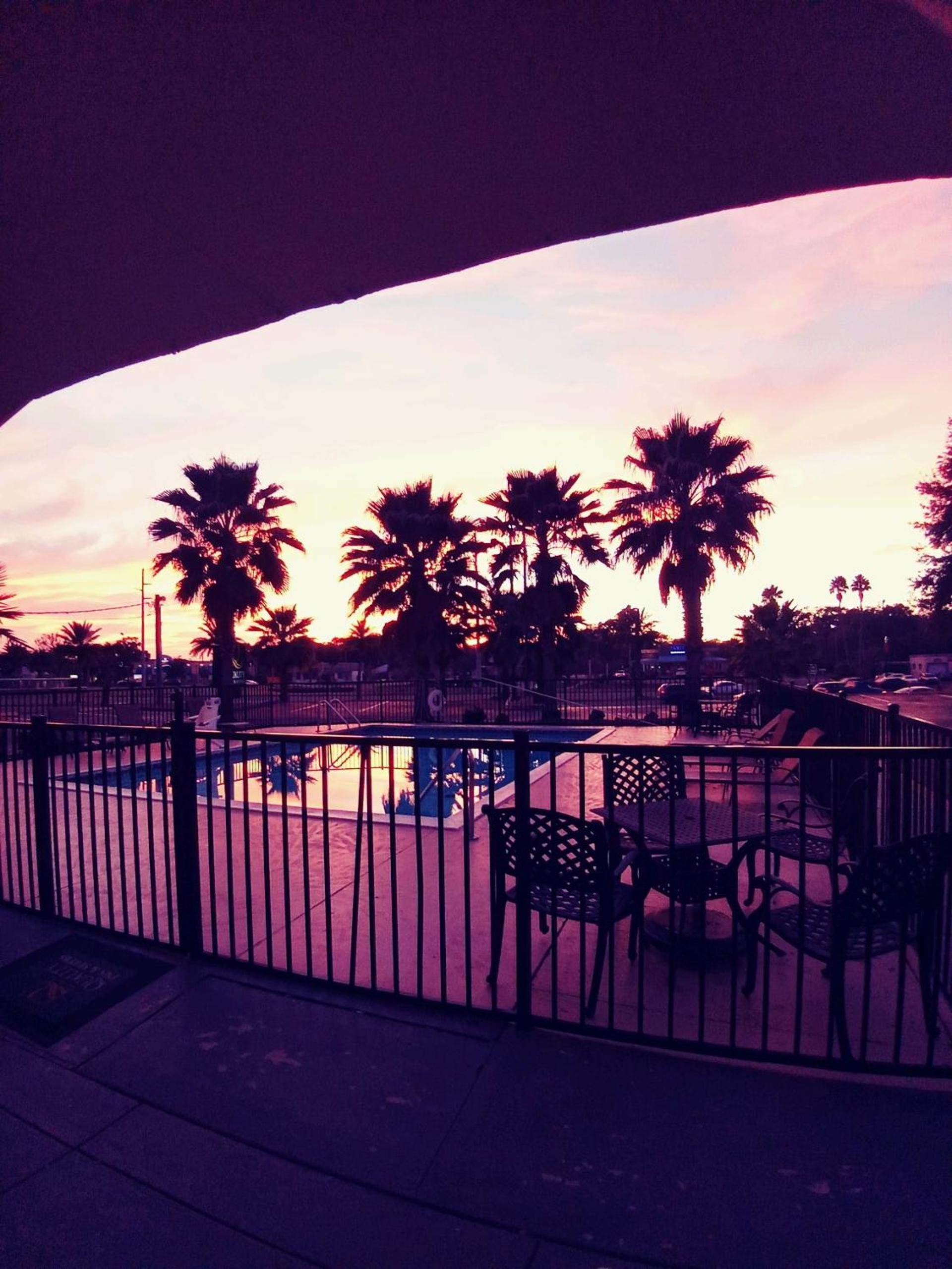Quality Inn & Suites Leesburg Chain of Lakes view 3