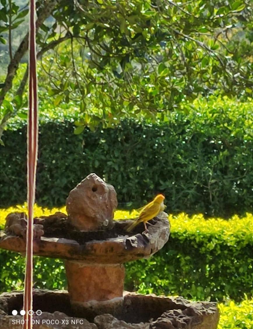 Casa De Campo Villa Caney