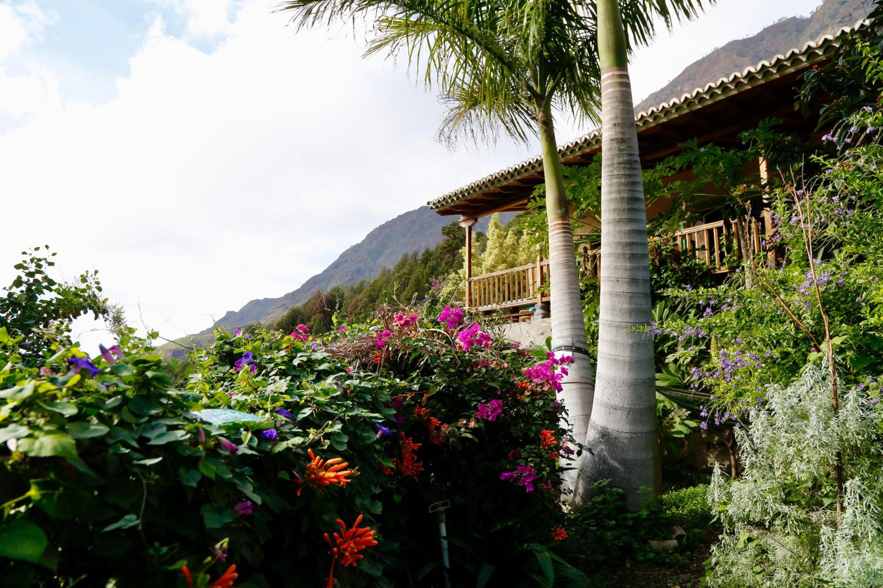 Rivendell Eco lodge