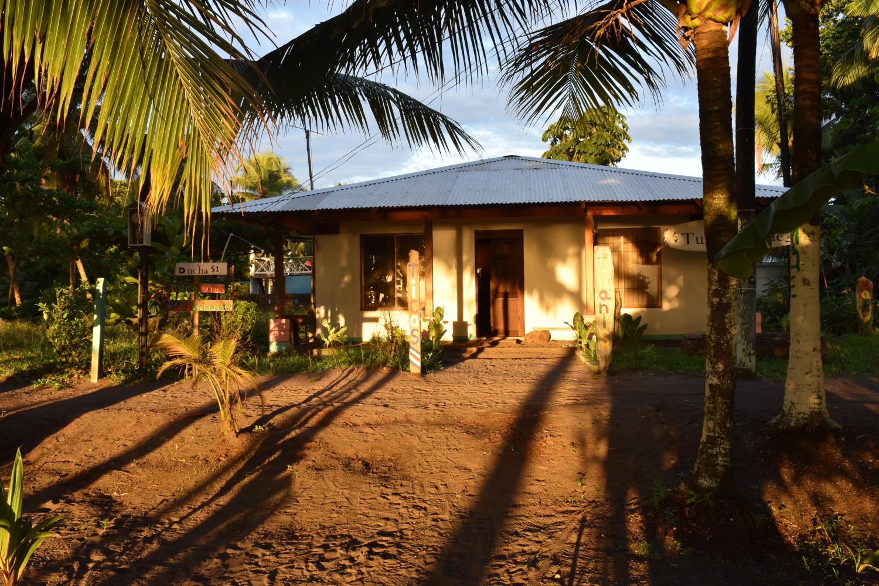 Casa turtle Bogue