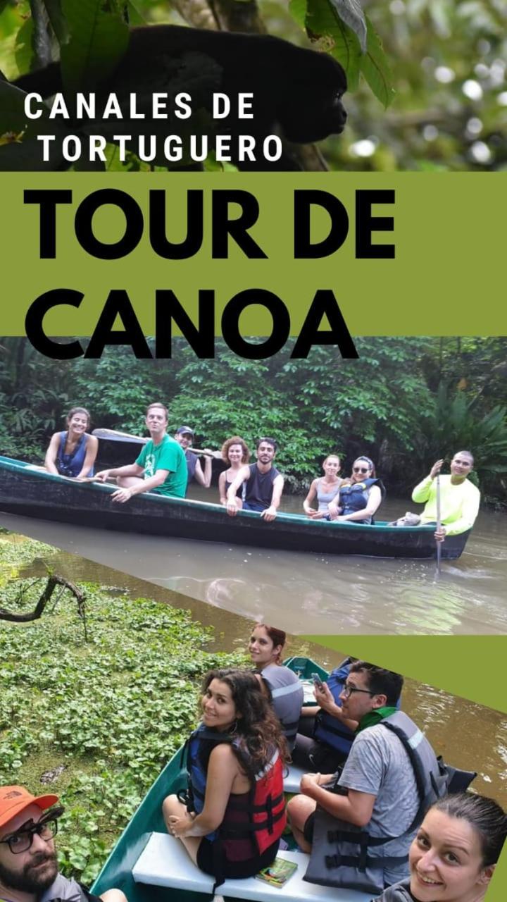 Casa turtle Bogue