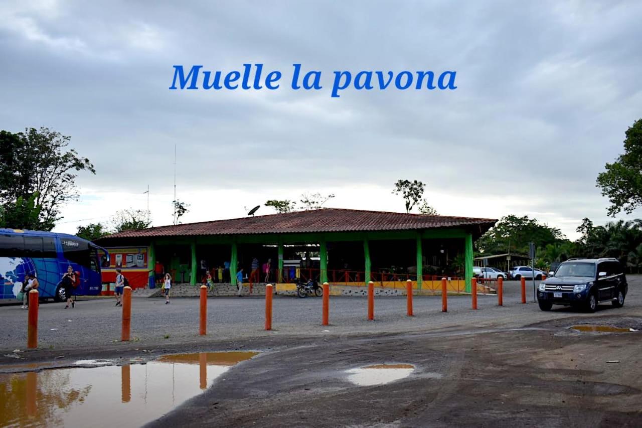 Casa turtle Bogue