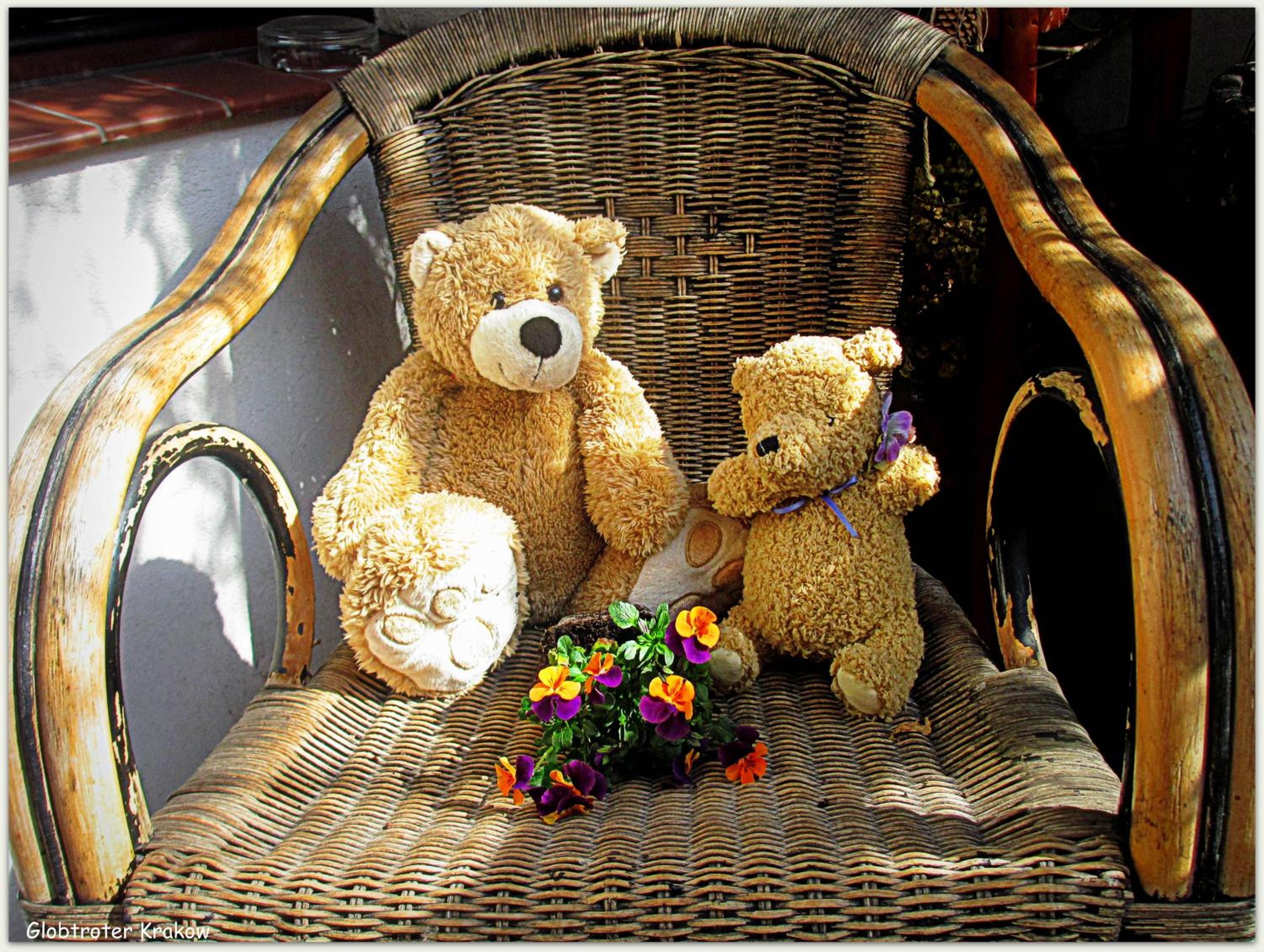 Photo 40