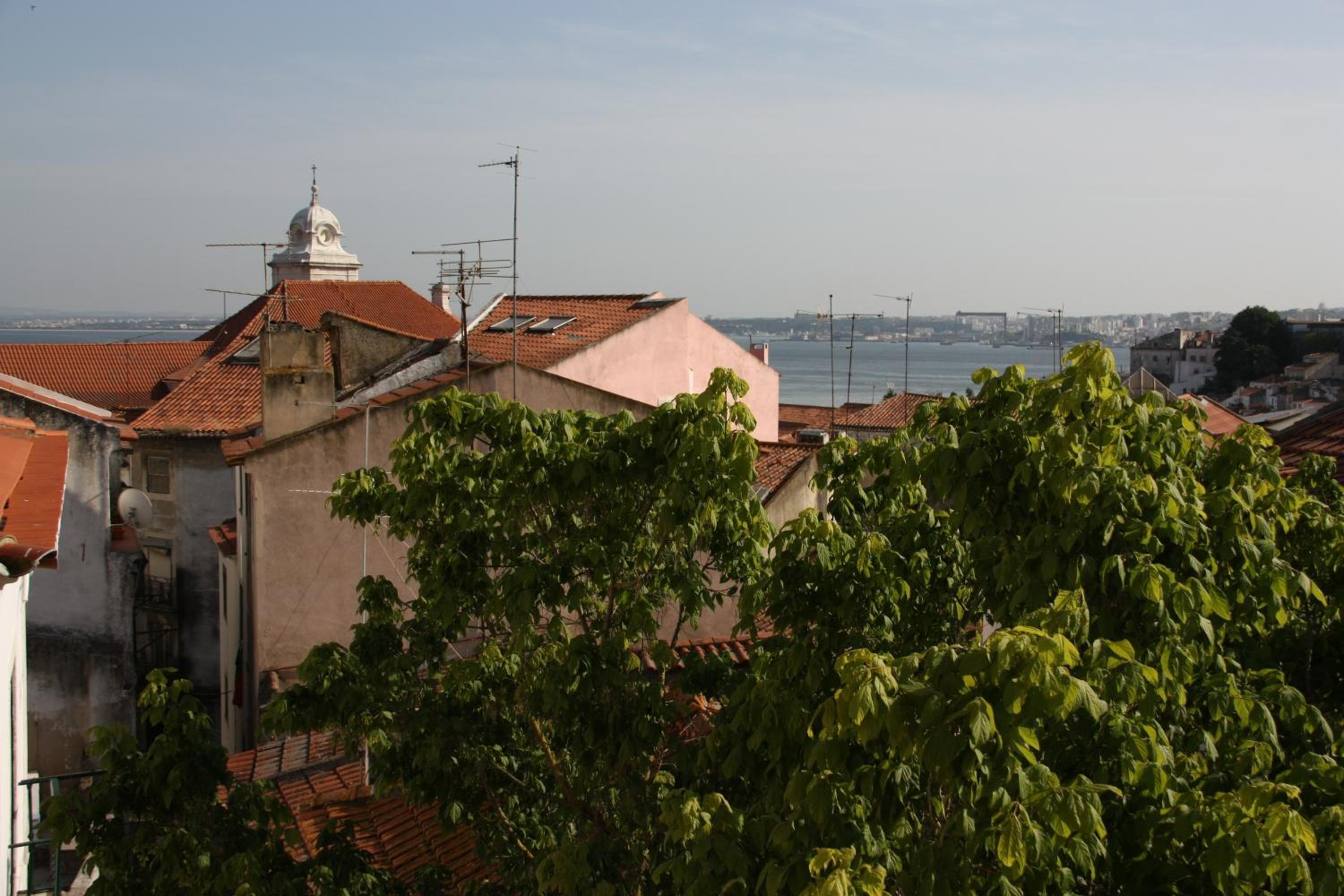 Se de Lisboa III view 2