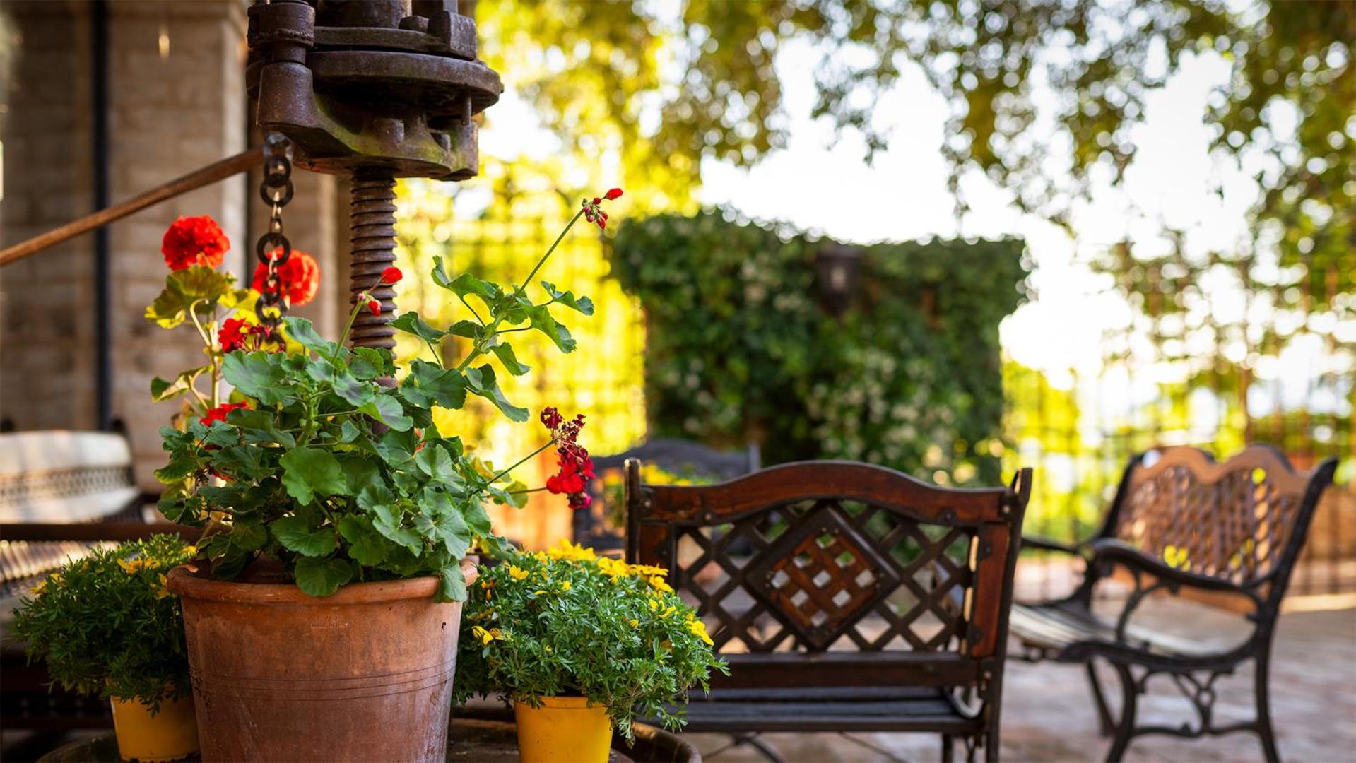 balance & terrace