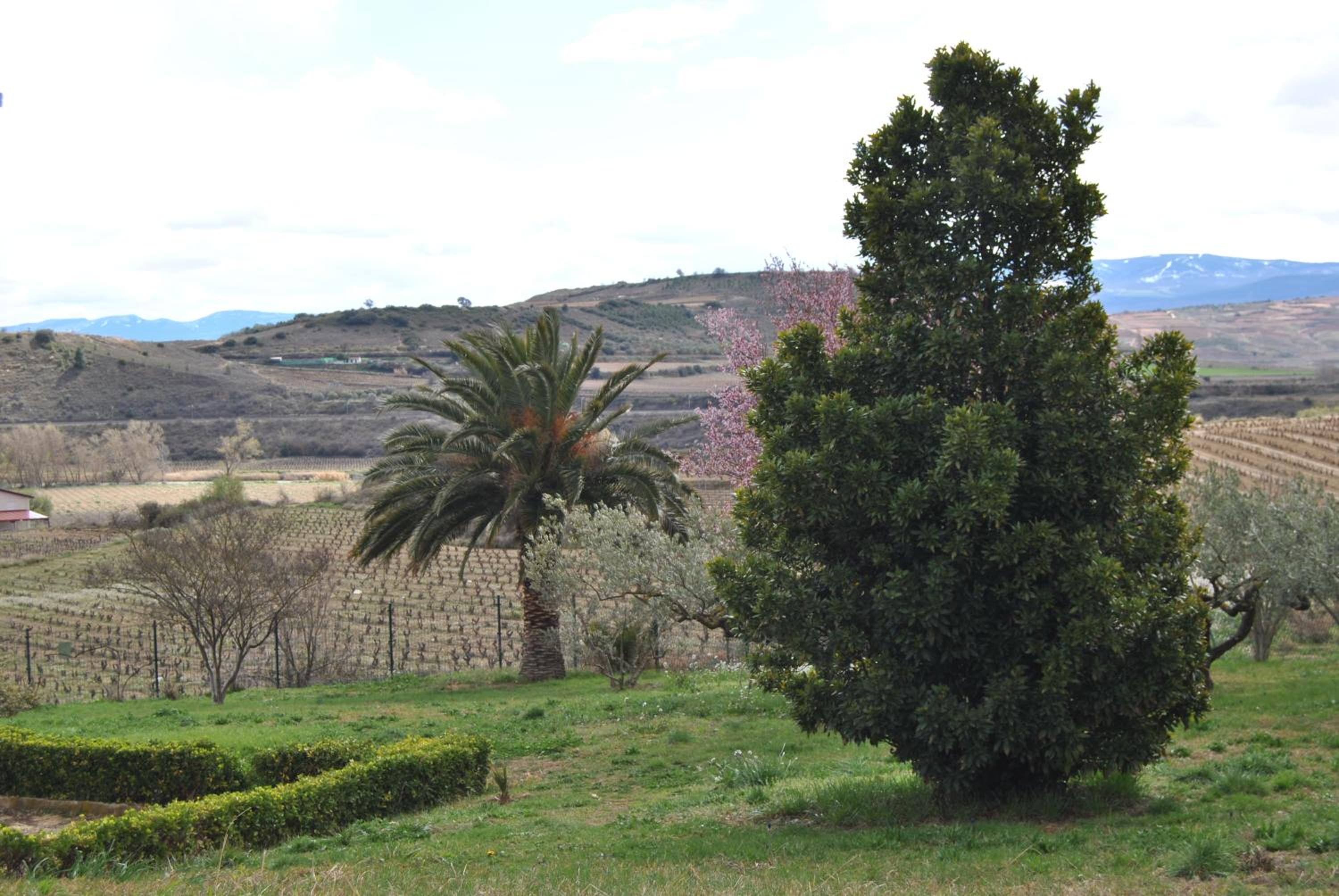 Casa Pichon Etxea con Degustación vinos Muro view 2