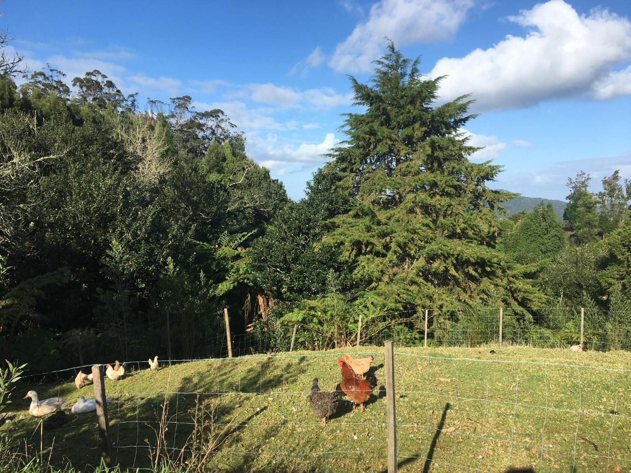 Bio Quinta do Pantano, Agro Turismo