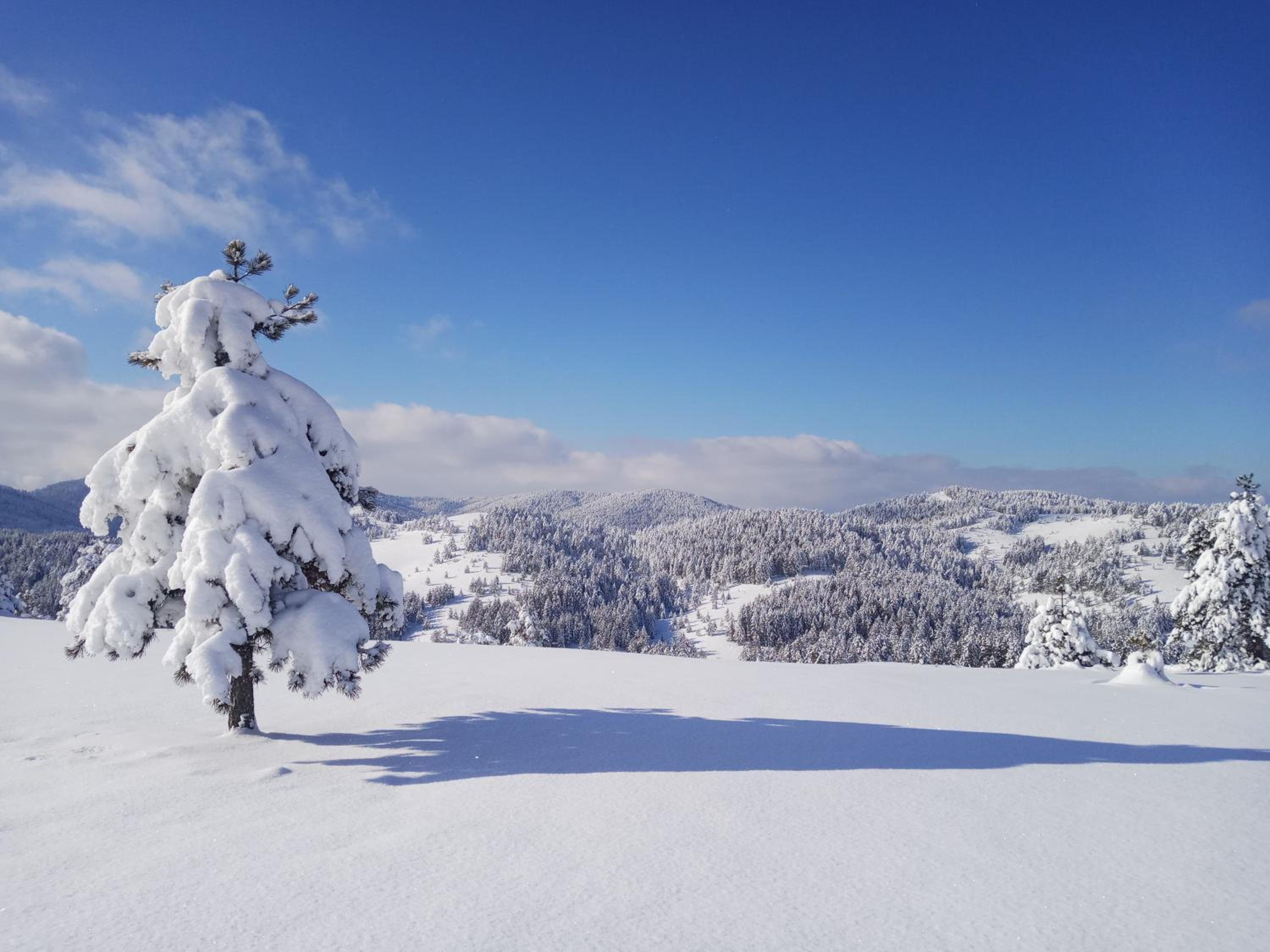 Planinarski dom "Tornik" Zlatibor view 5
