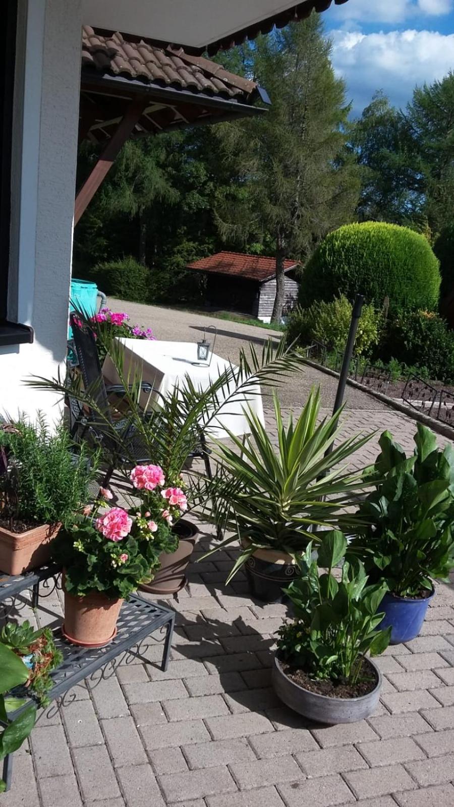 Ferienwohnung Haus Finkbeiner view 2