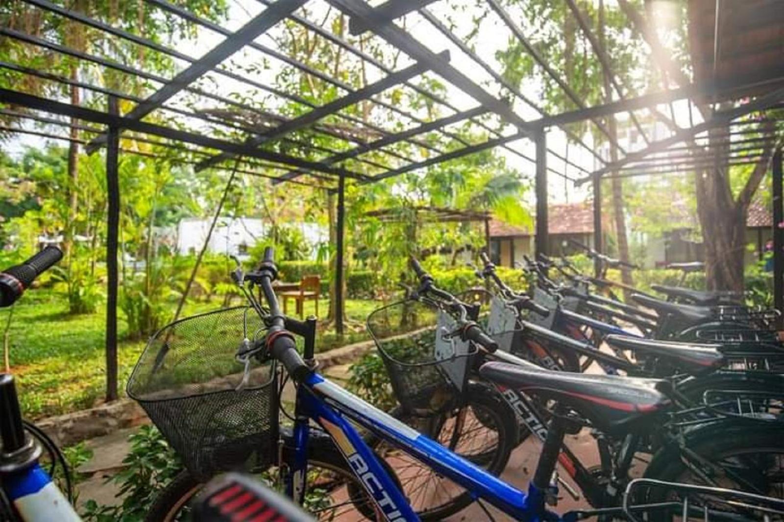 An Nhien Retreat Phu Quoc with Yoga Daily & Beach access