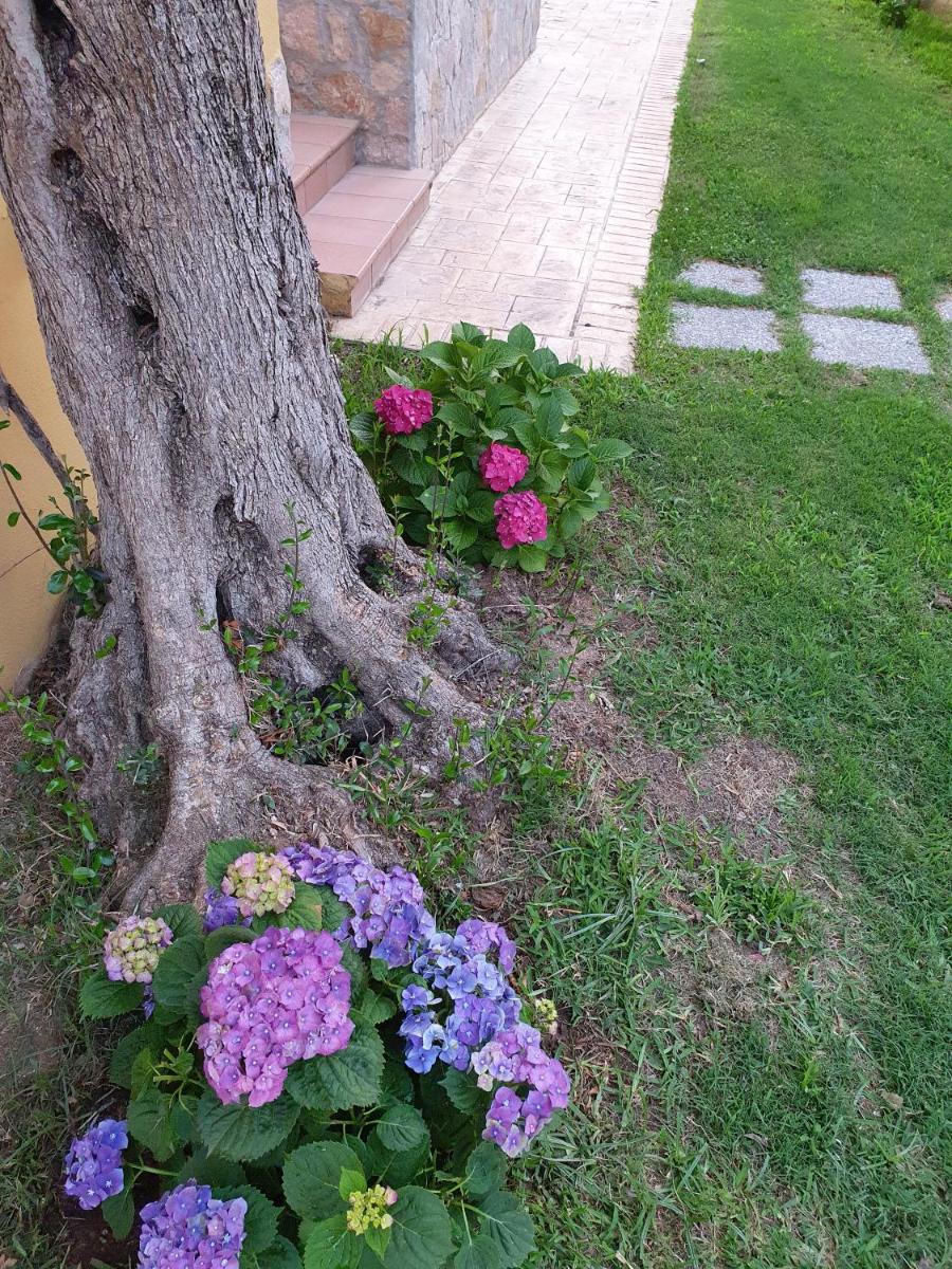 Laura Casa Vacanze