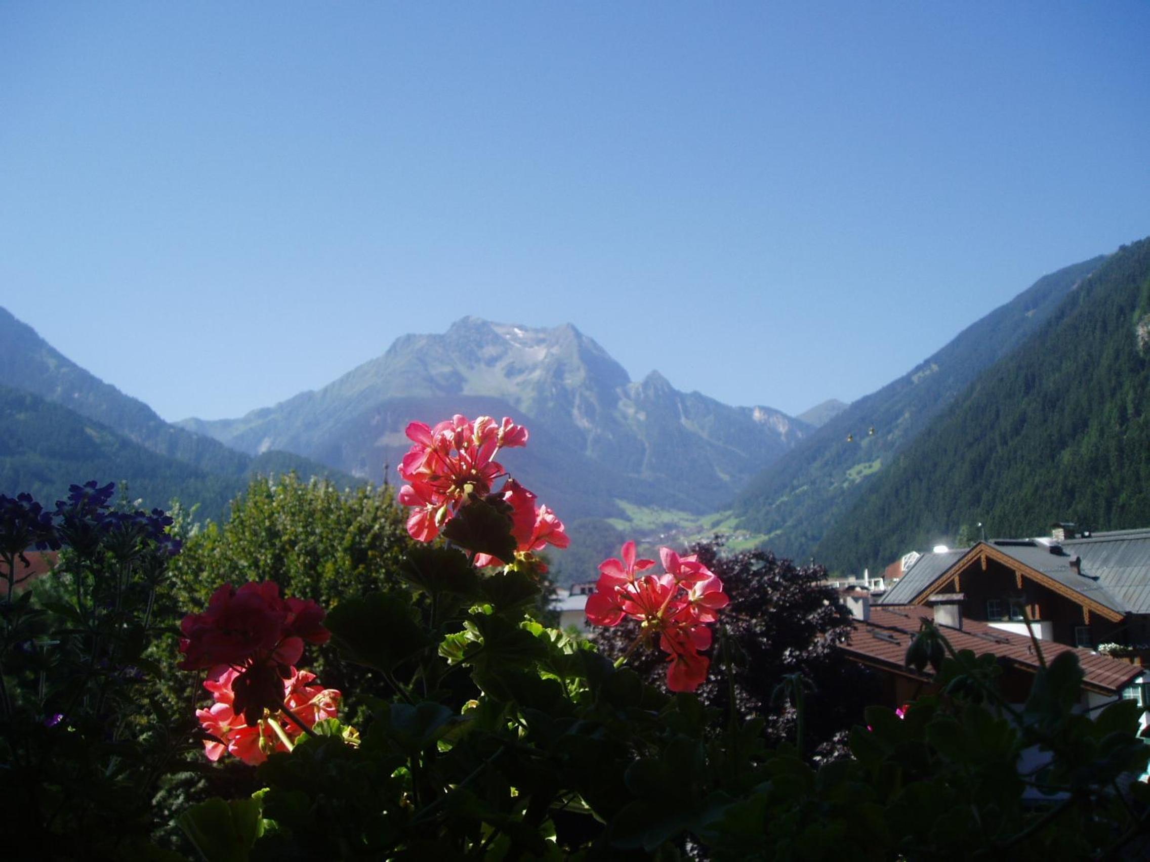edelweiss lounge restaurant hotel pizza cafe billard gasthof