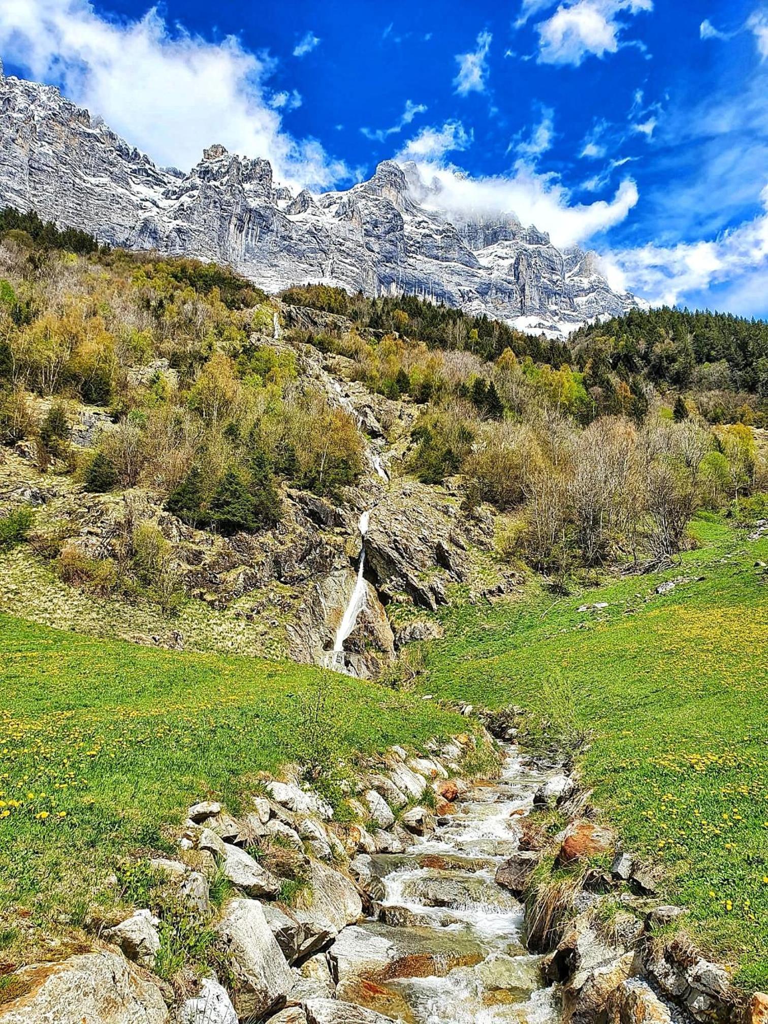 Triftblick