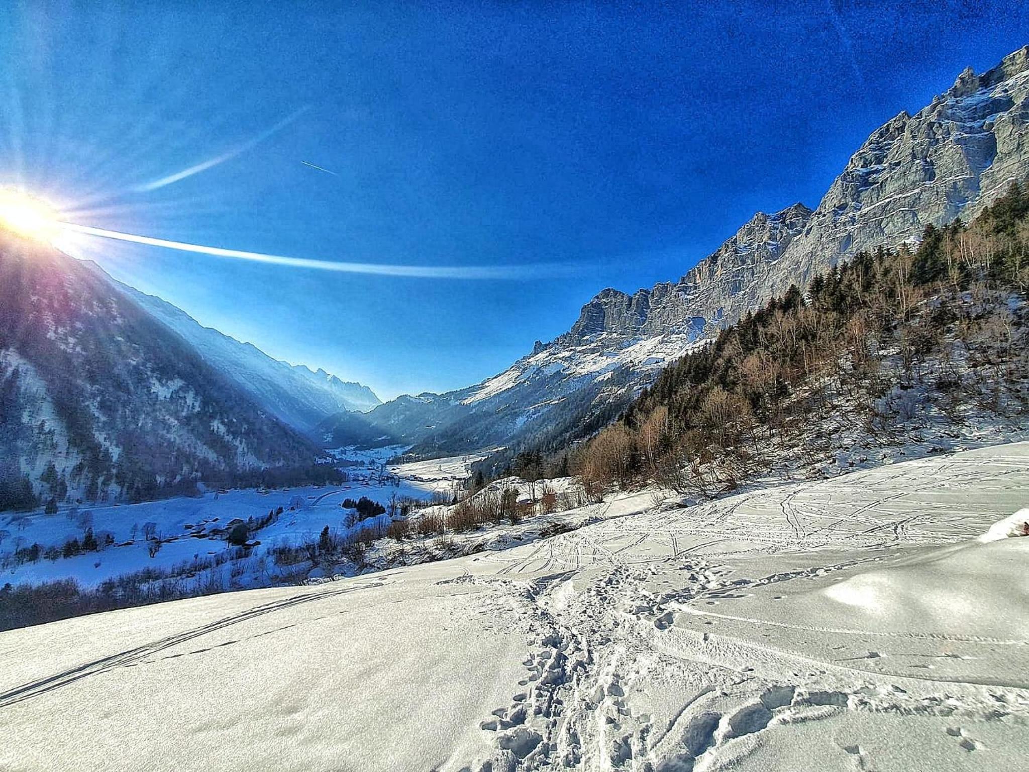 Triftblick