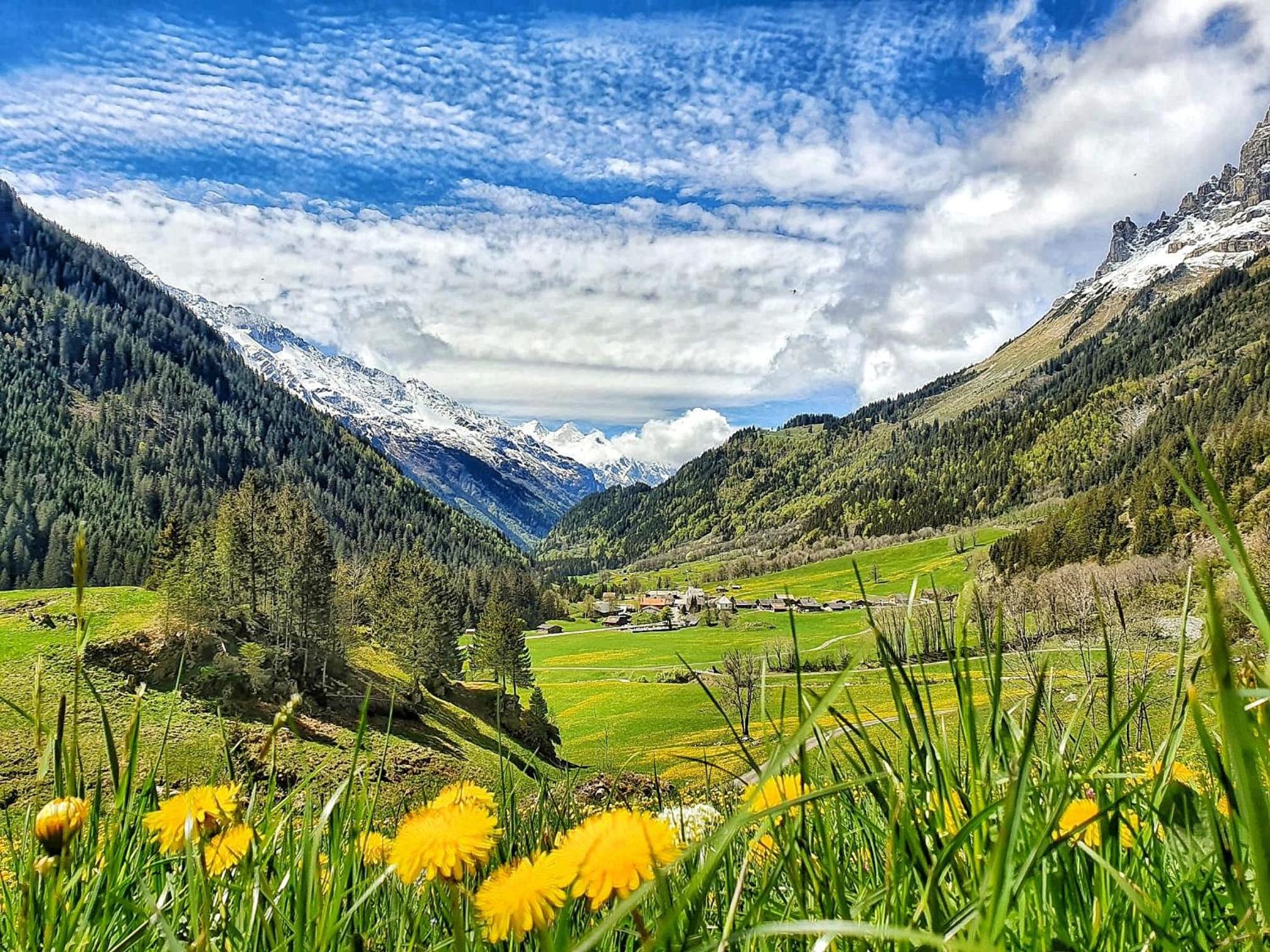 Triftblick