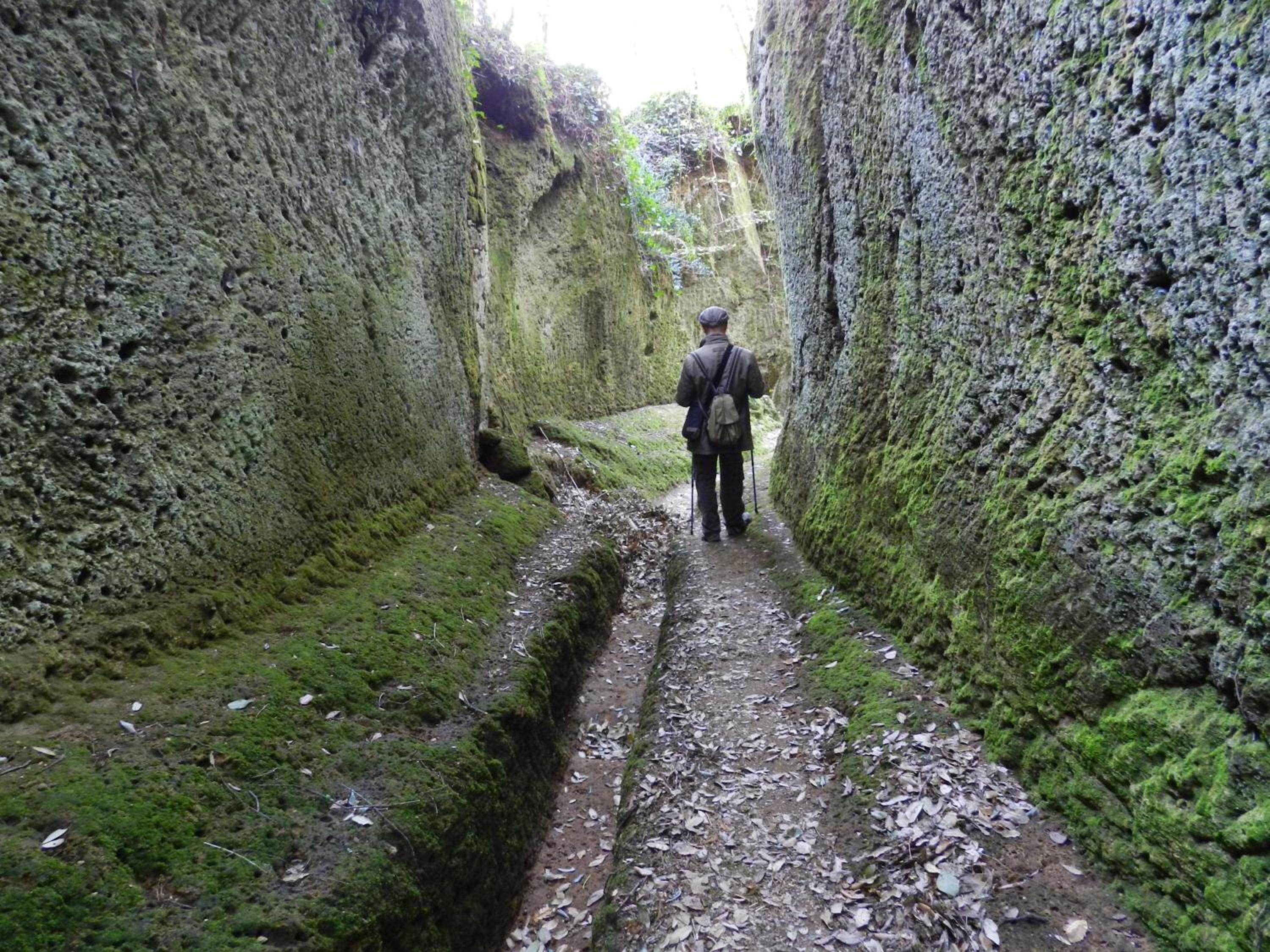 Le Sorgenti