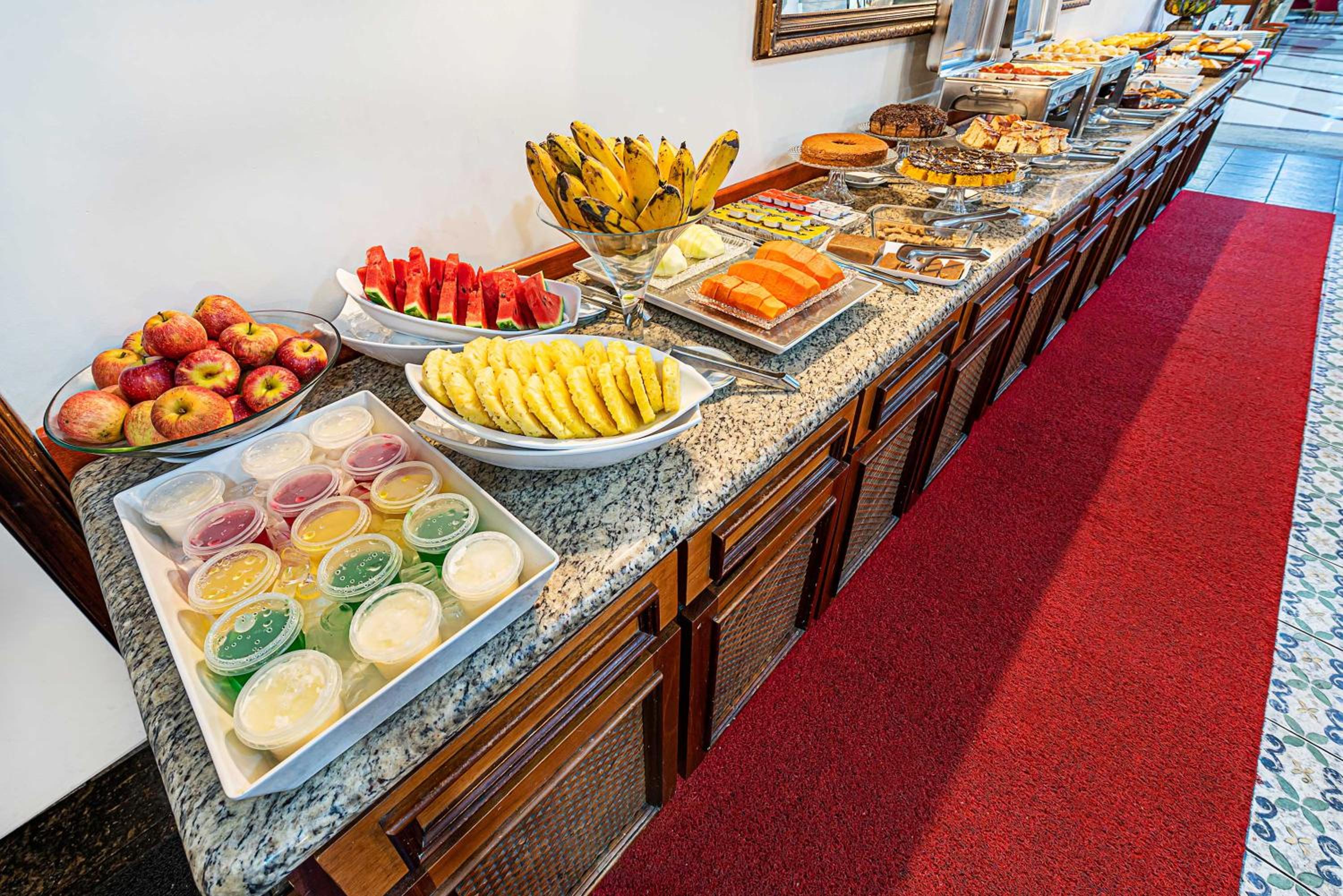 Campinas Vacations - Hotel Euro Suite Campinas - Property Image 3