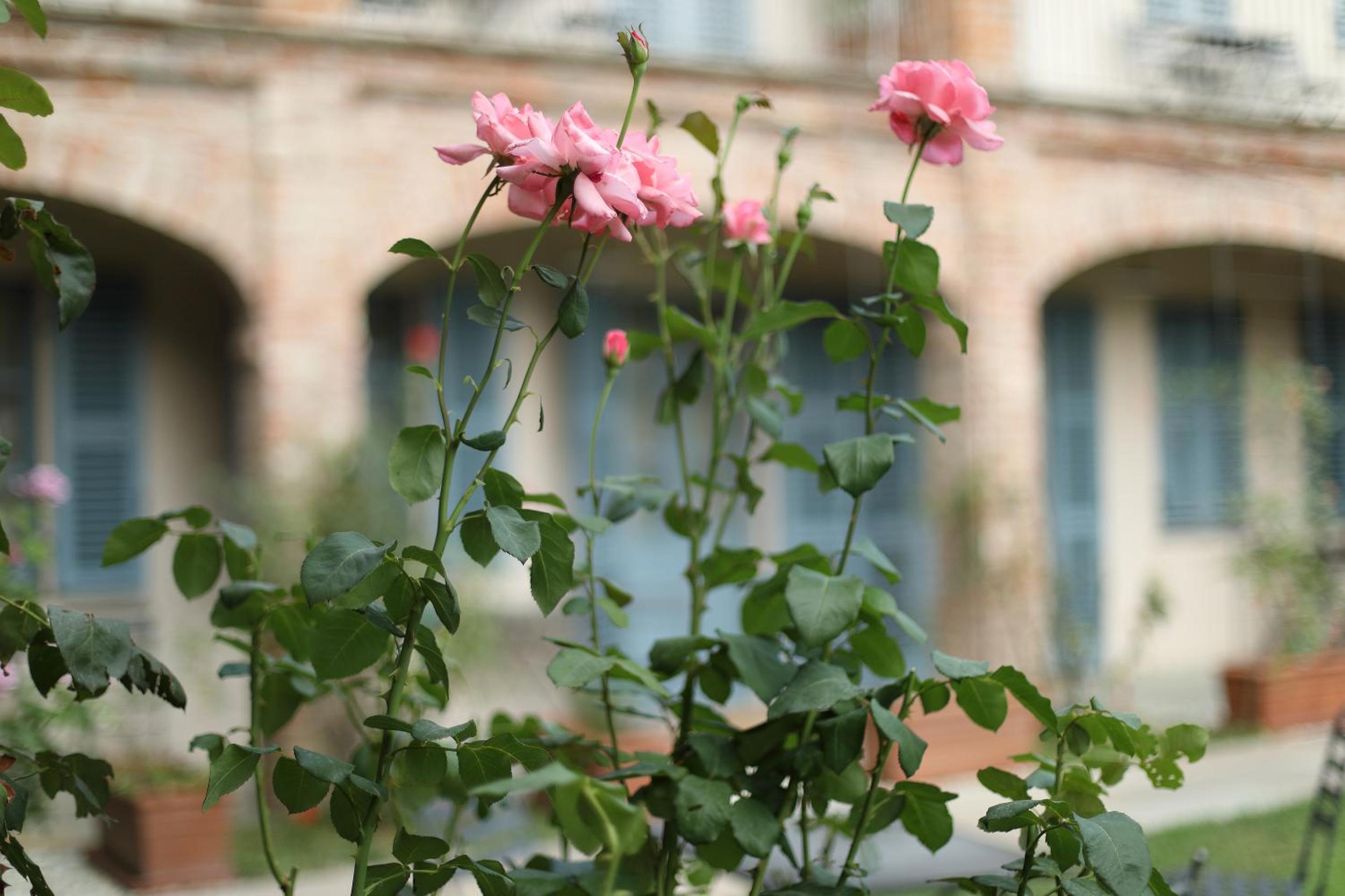Locanda Dell' Orso Bevitore