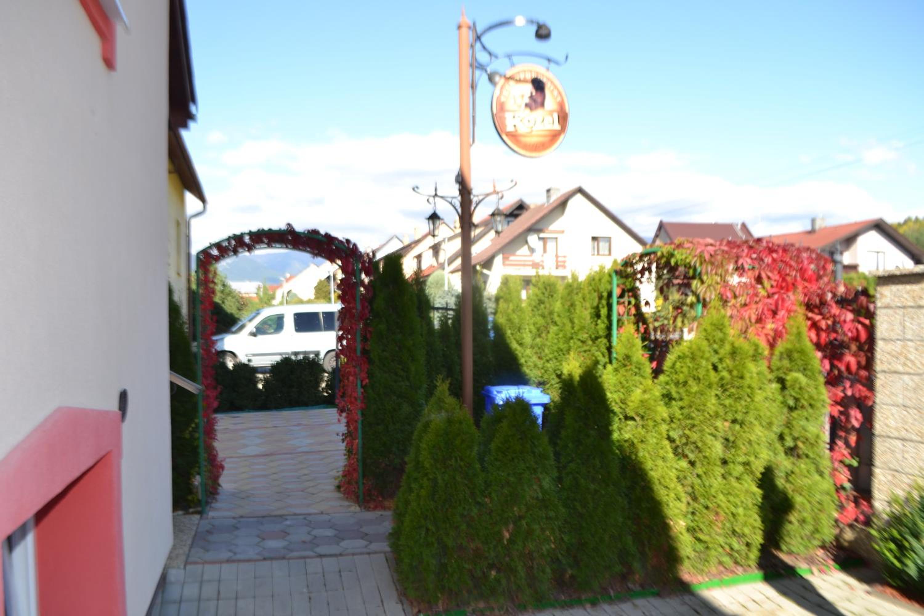 Photo 7