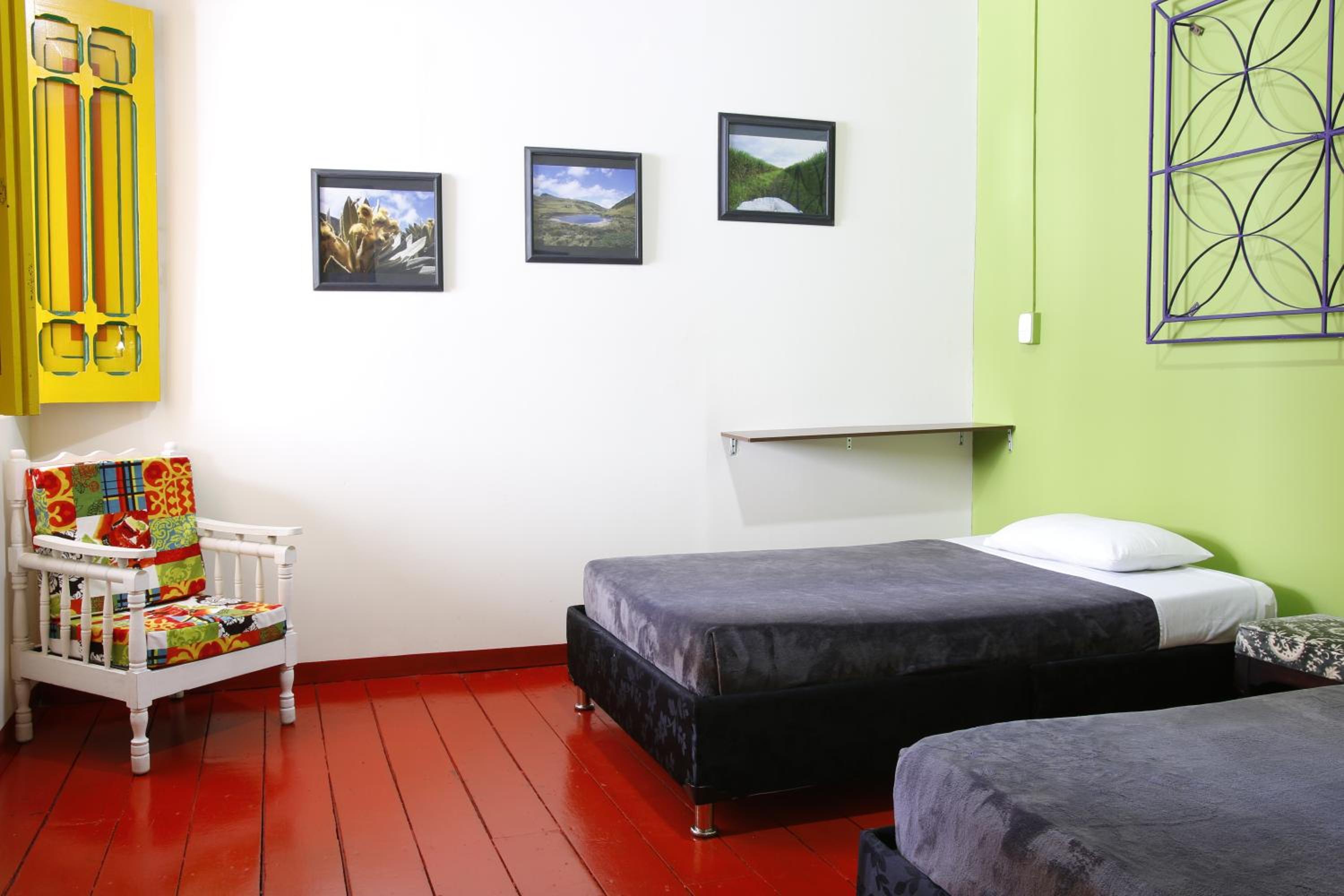 Golden Frog Manizales