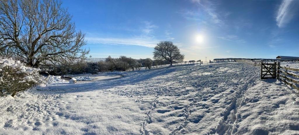 Folly Hall Farm